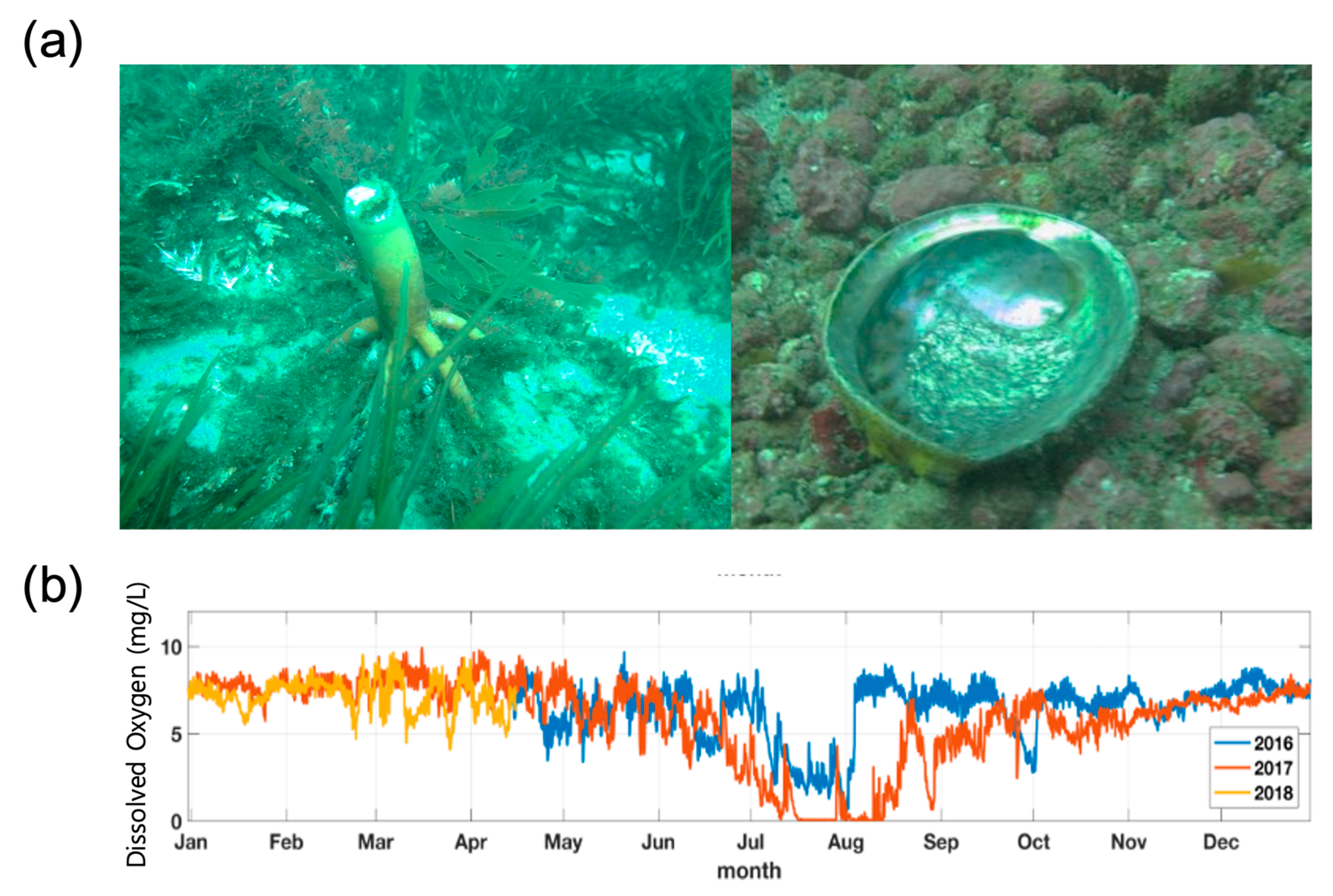 Jmse 13 02044 g002 Jmse 13 02044 g002