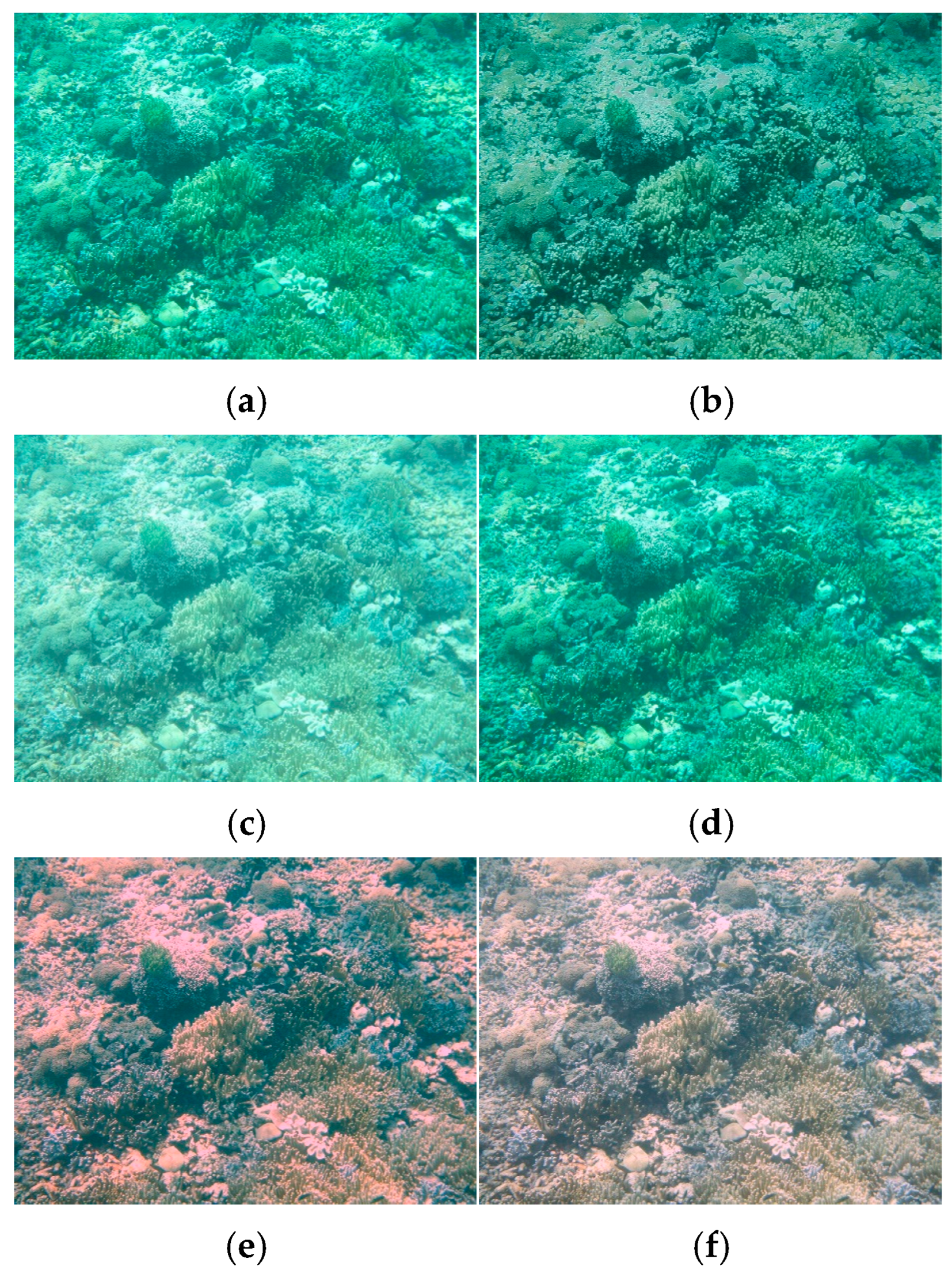 Jmse 13 02049 g004 Jmse 13 02049 g004