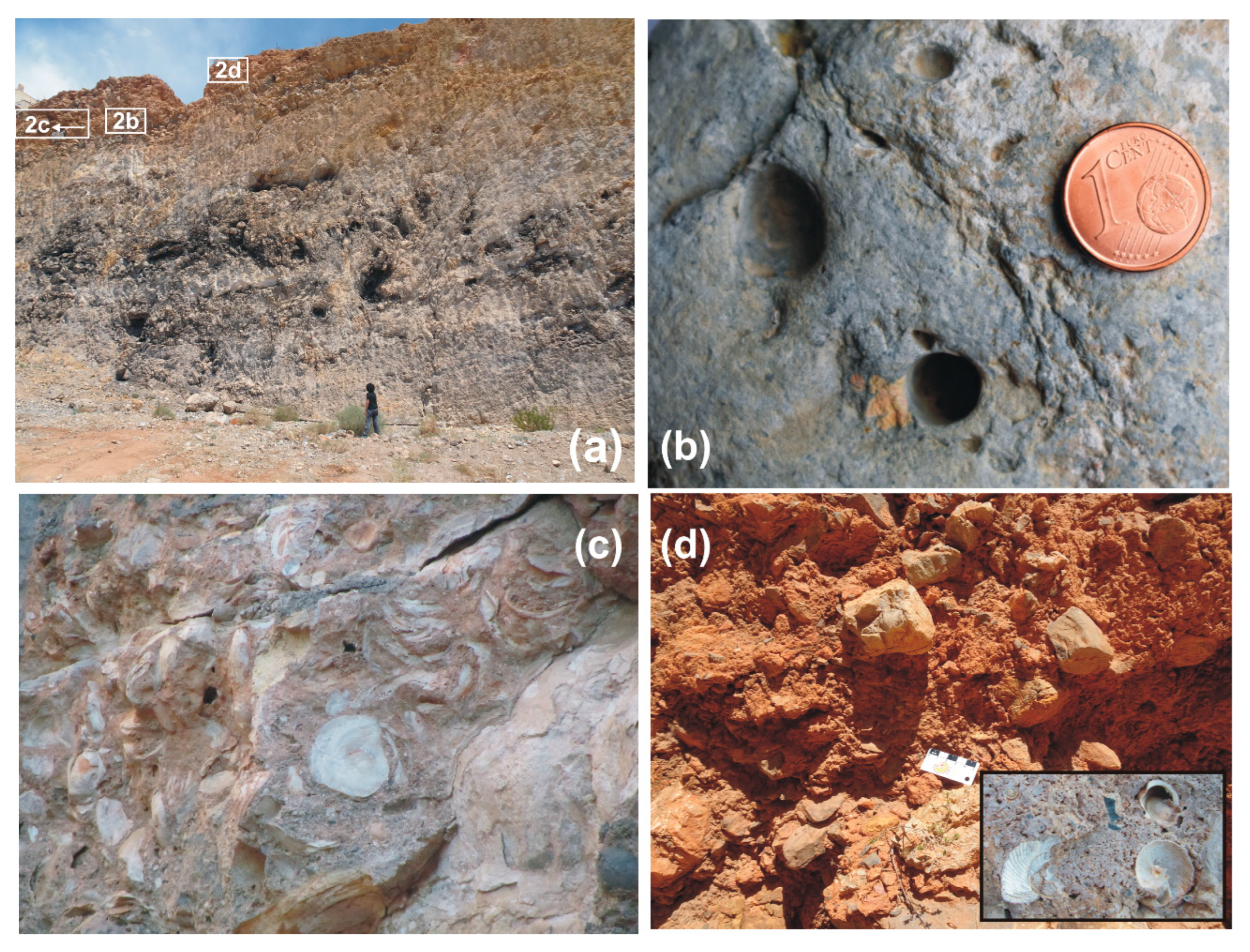 Jmse 13 02090 g002 Jmse 13 02090 g002