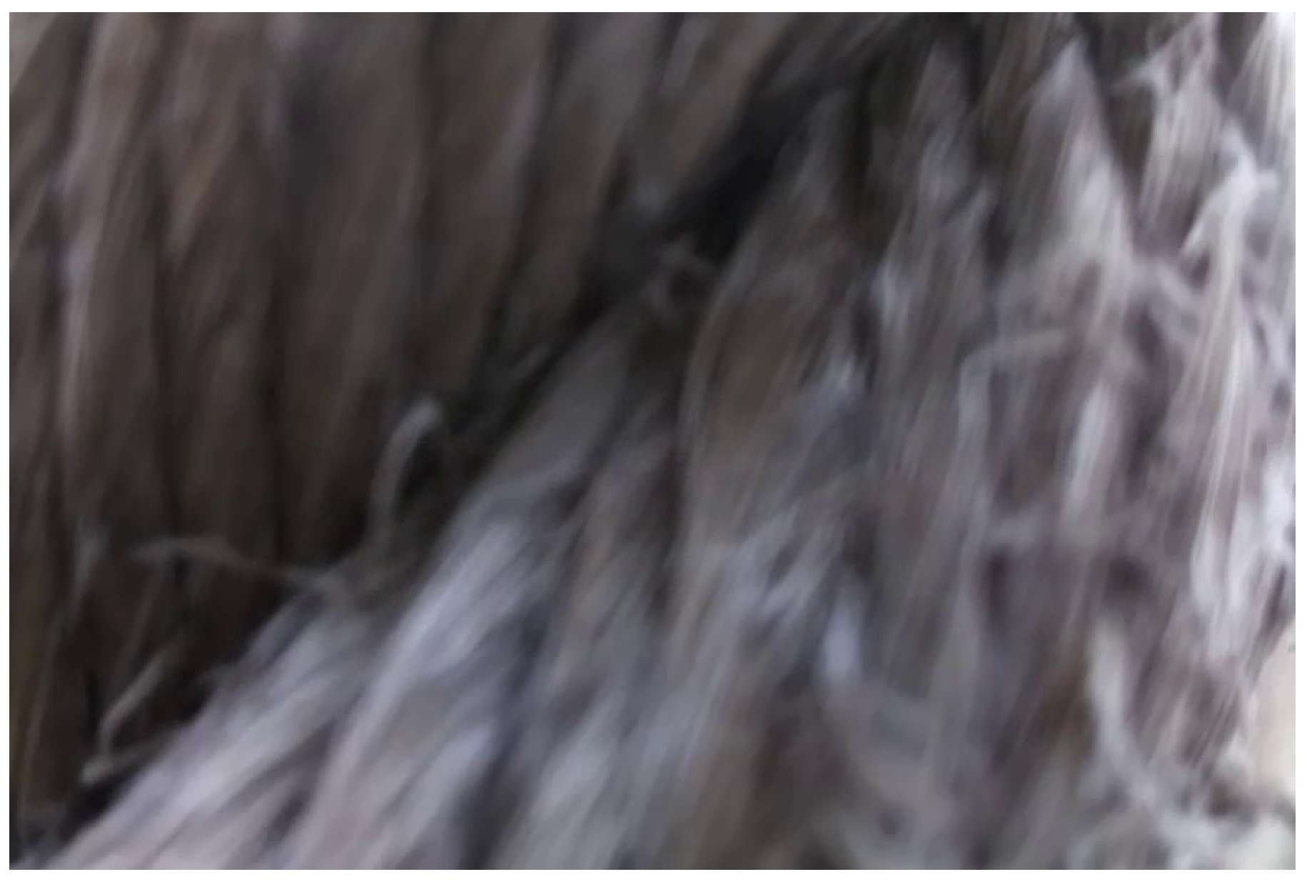 Jmse 13 02101 g014 Jmse 13 02101 g014