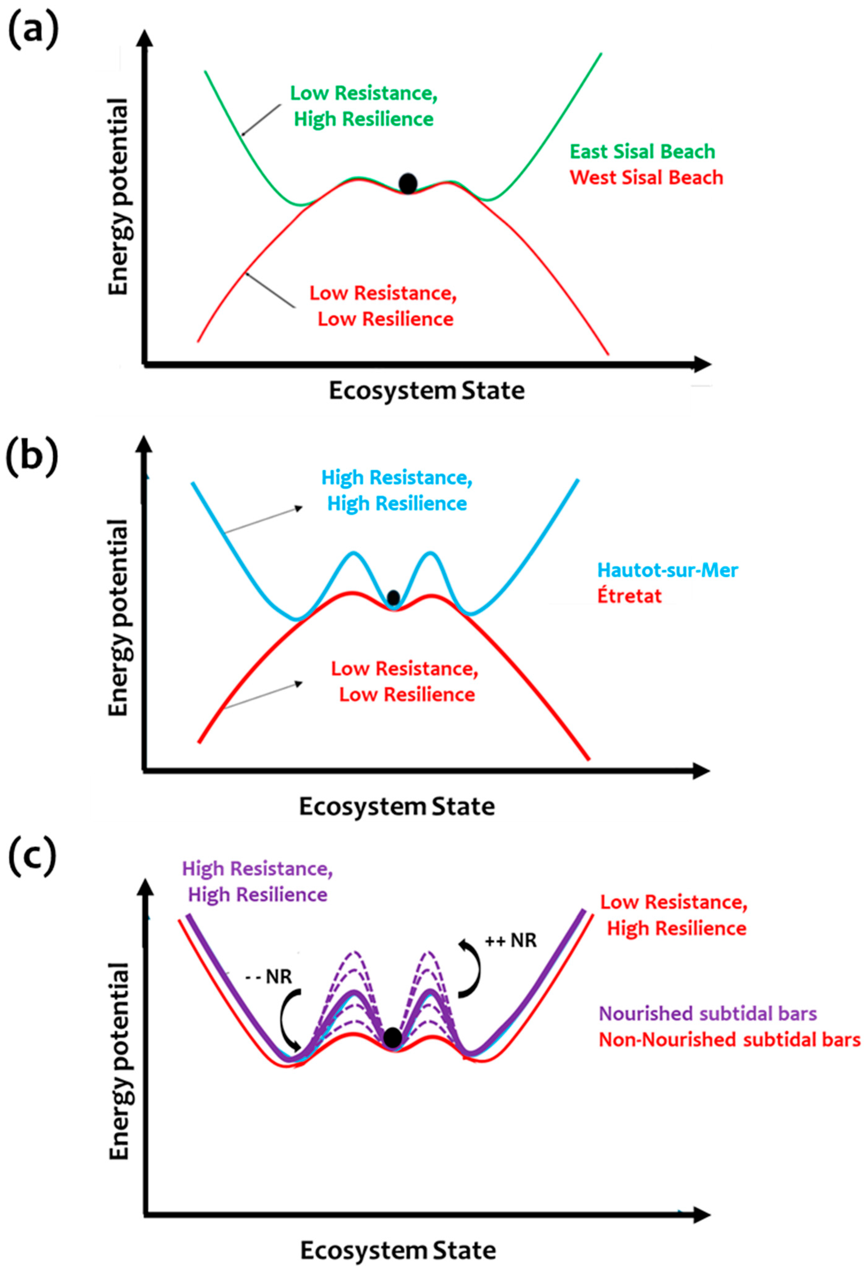 Jmse 13 02113 g011 Jmse 13 02113 g011