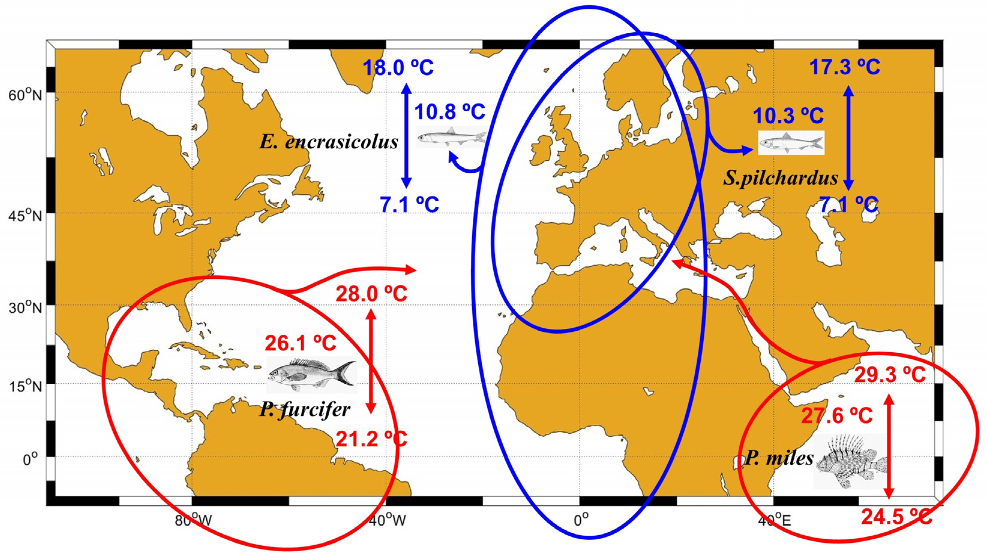 Jmse 13 02325 g002 Jmse 13 02325 g002