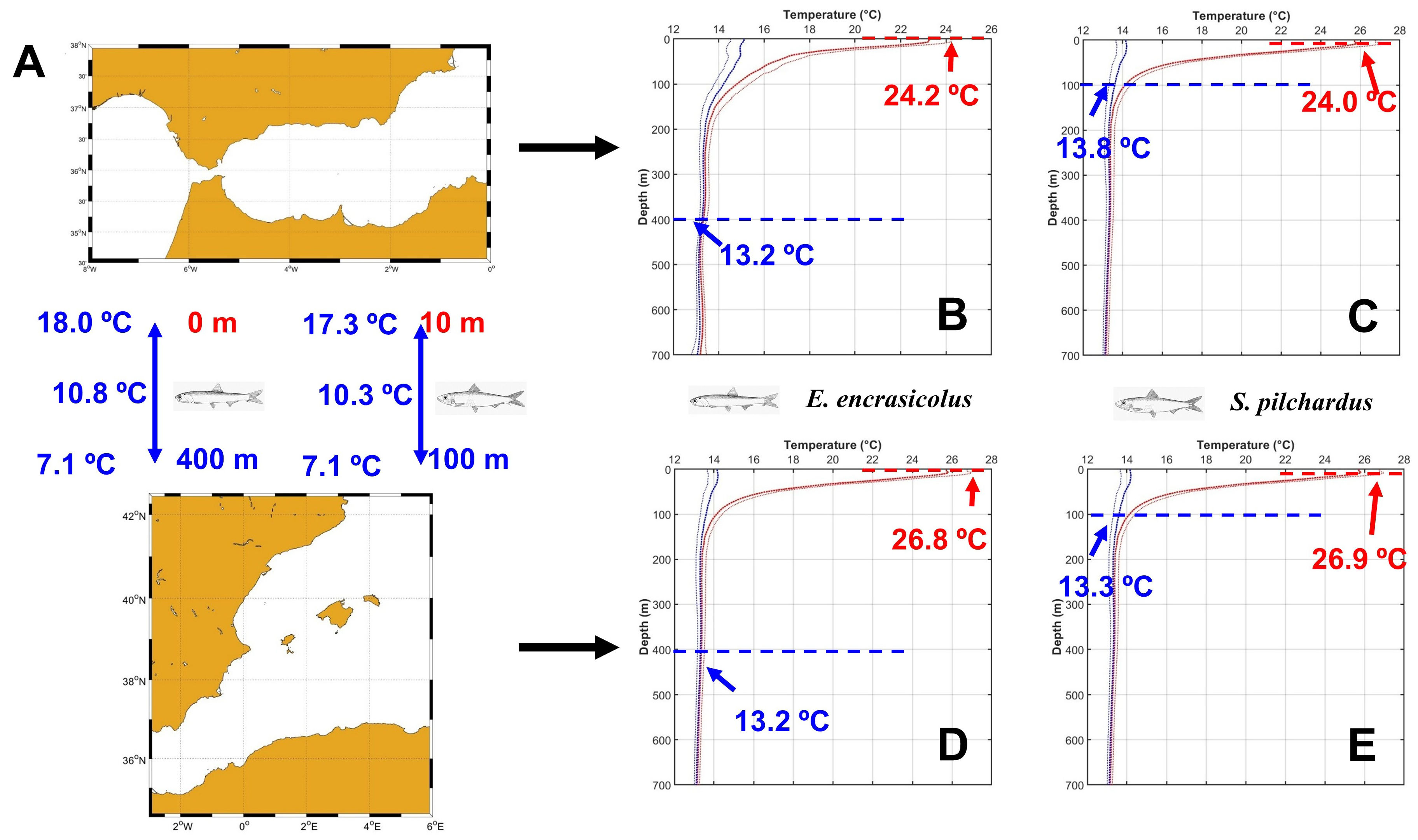 Jmse 13 02325 g004 Jmse 13 02325 g004
