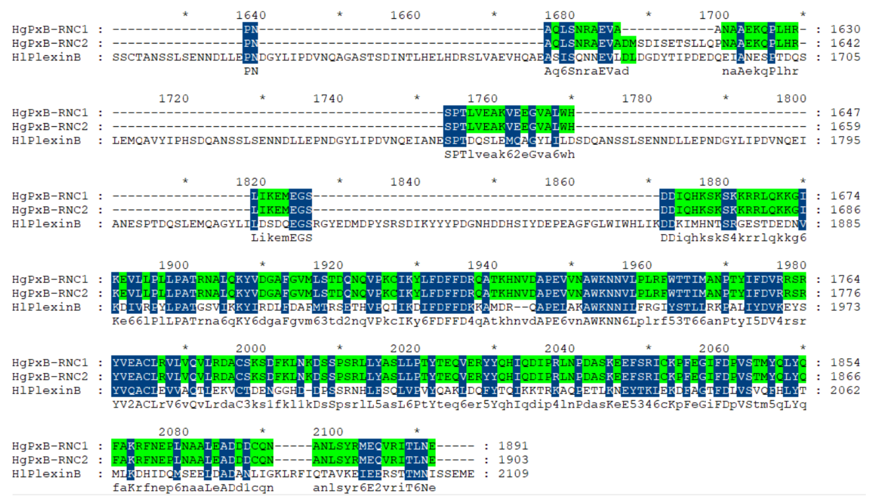 Jmse 14 00547 g016b Jmse 14 00547 g016b