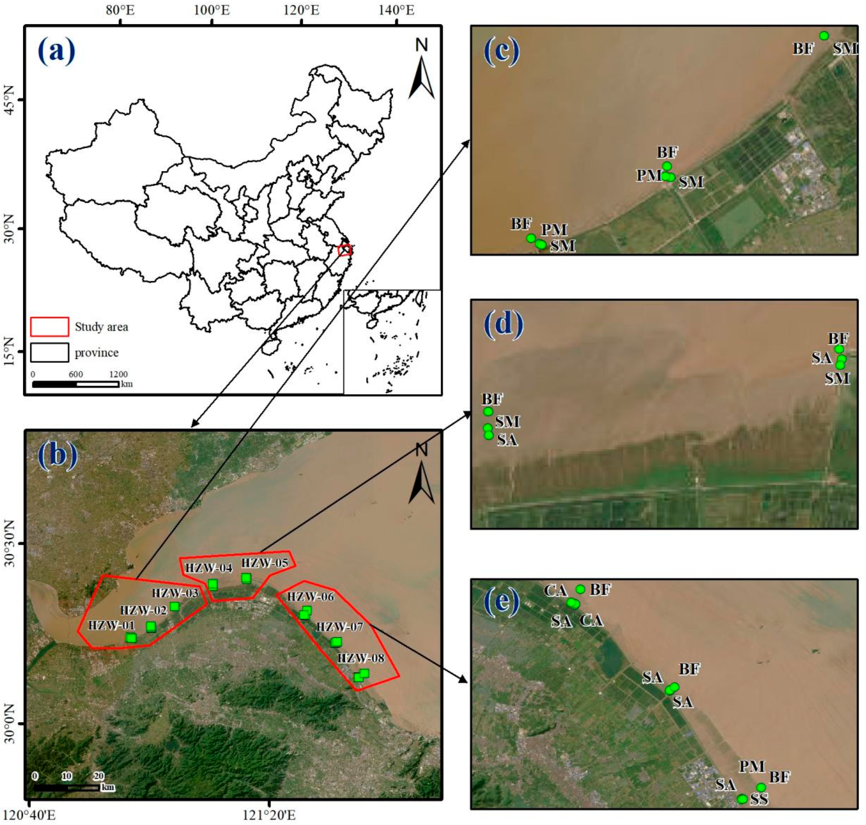 Impacts of Landscape Pattern Changes in Hangzhou Bay Intertidal
