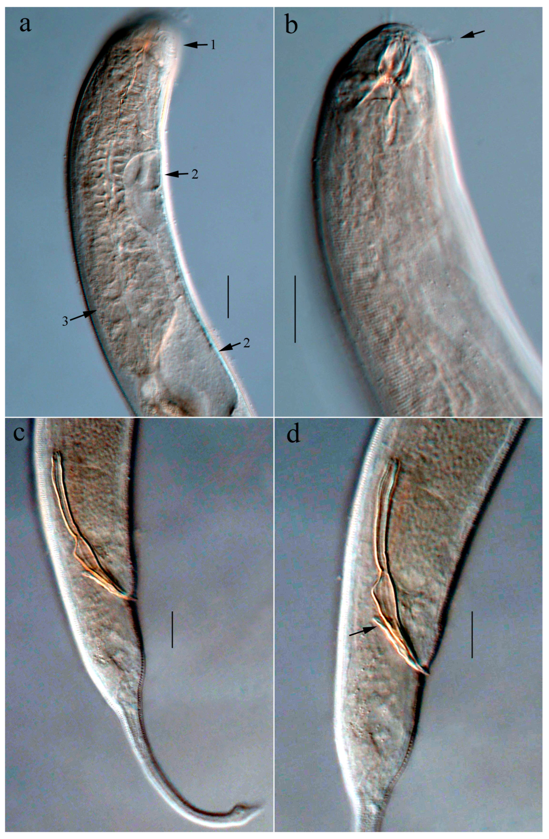 Jmse 14 00972 g005