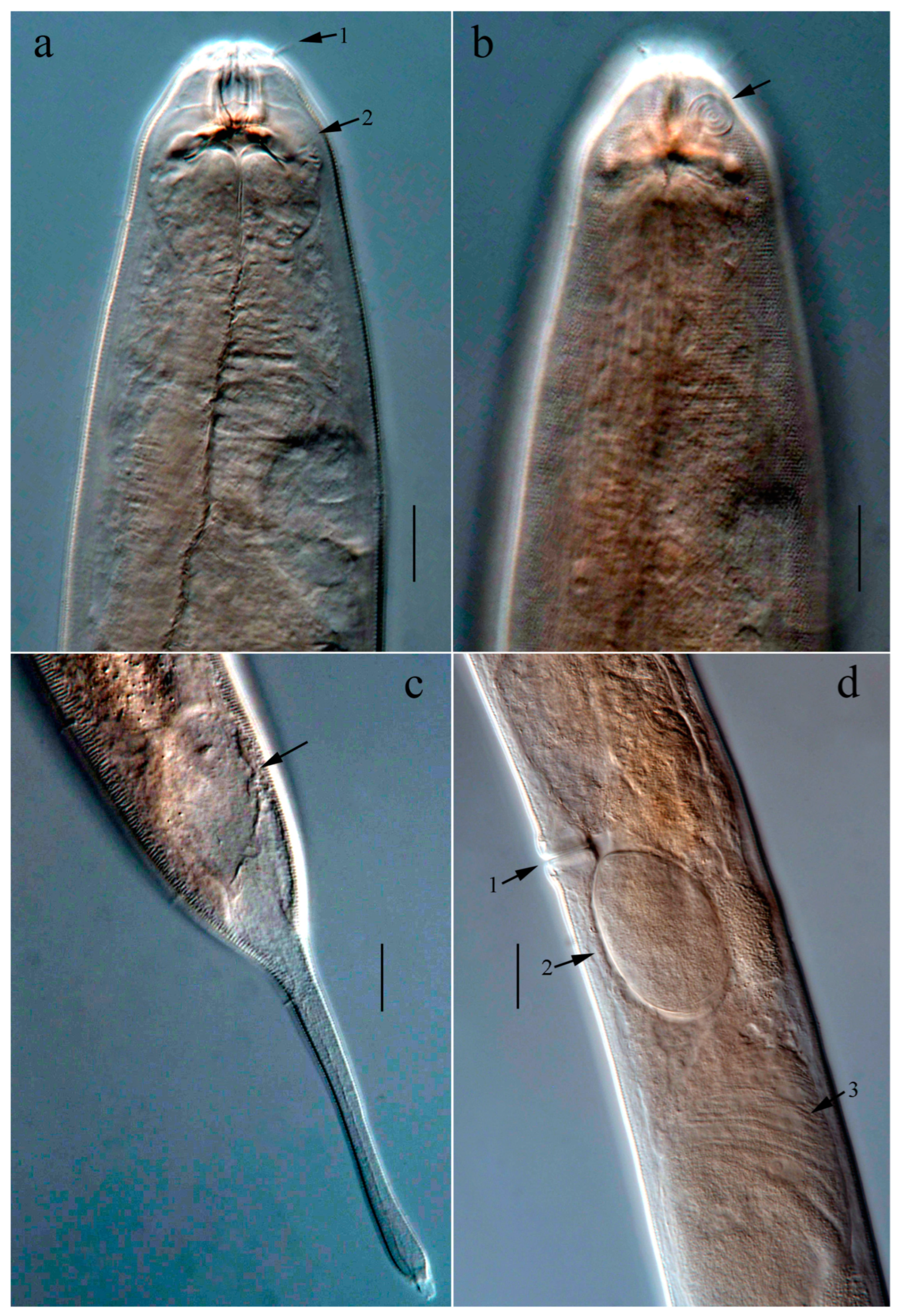 Jmse 14 00972 g006