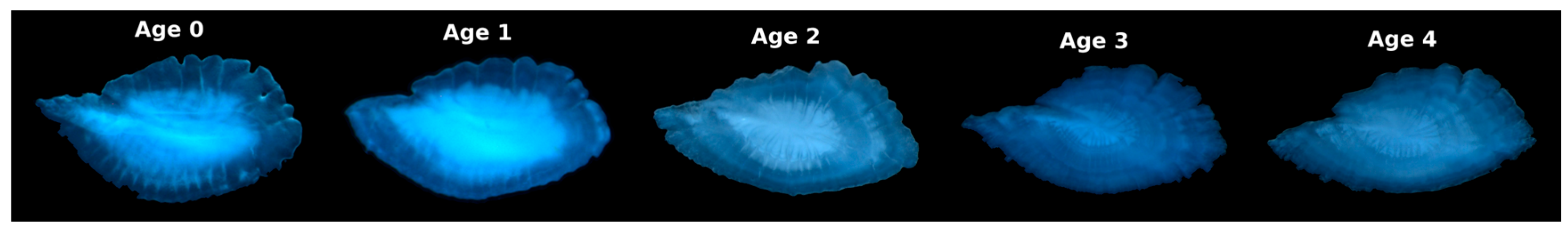 Jmse 14 01145 g002 Jmse 14 01145 g002
