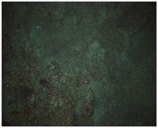 Jmse 14 01160 i004 Jmse 14 01160 i004