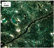 Jmse 14 01802 i001 Jmse 14 01802 i001