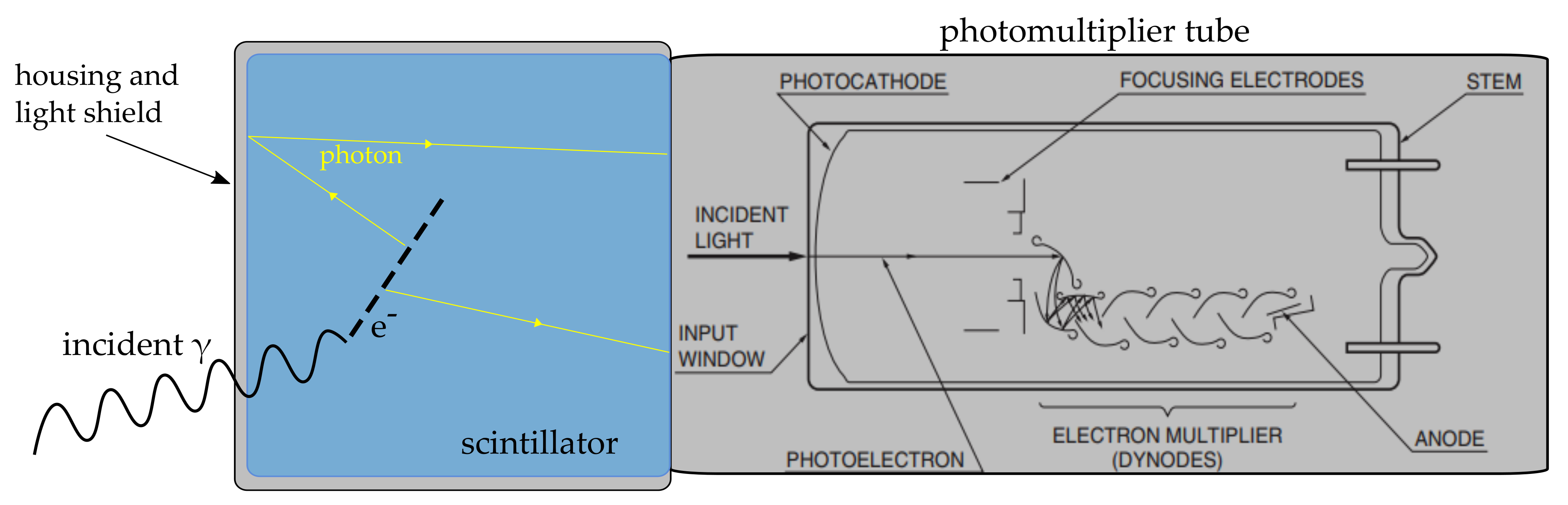 Jne 02 00023 g003 Jne 02 00023 g003