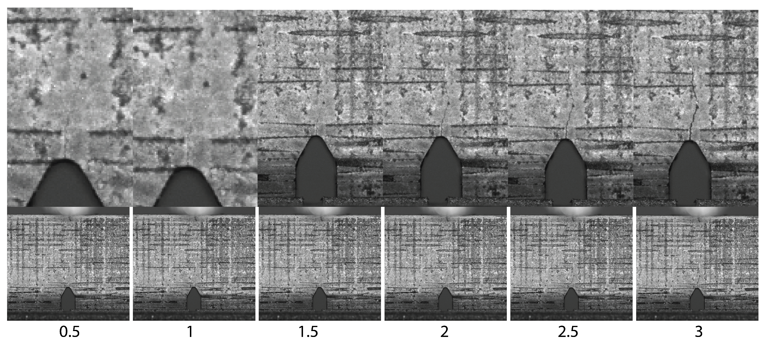 Jne 03 00018 g015 Jne 03 00018 g015