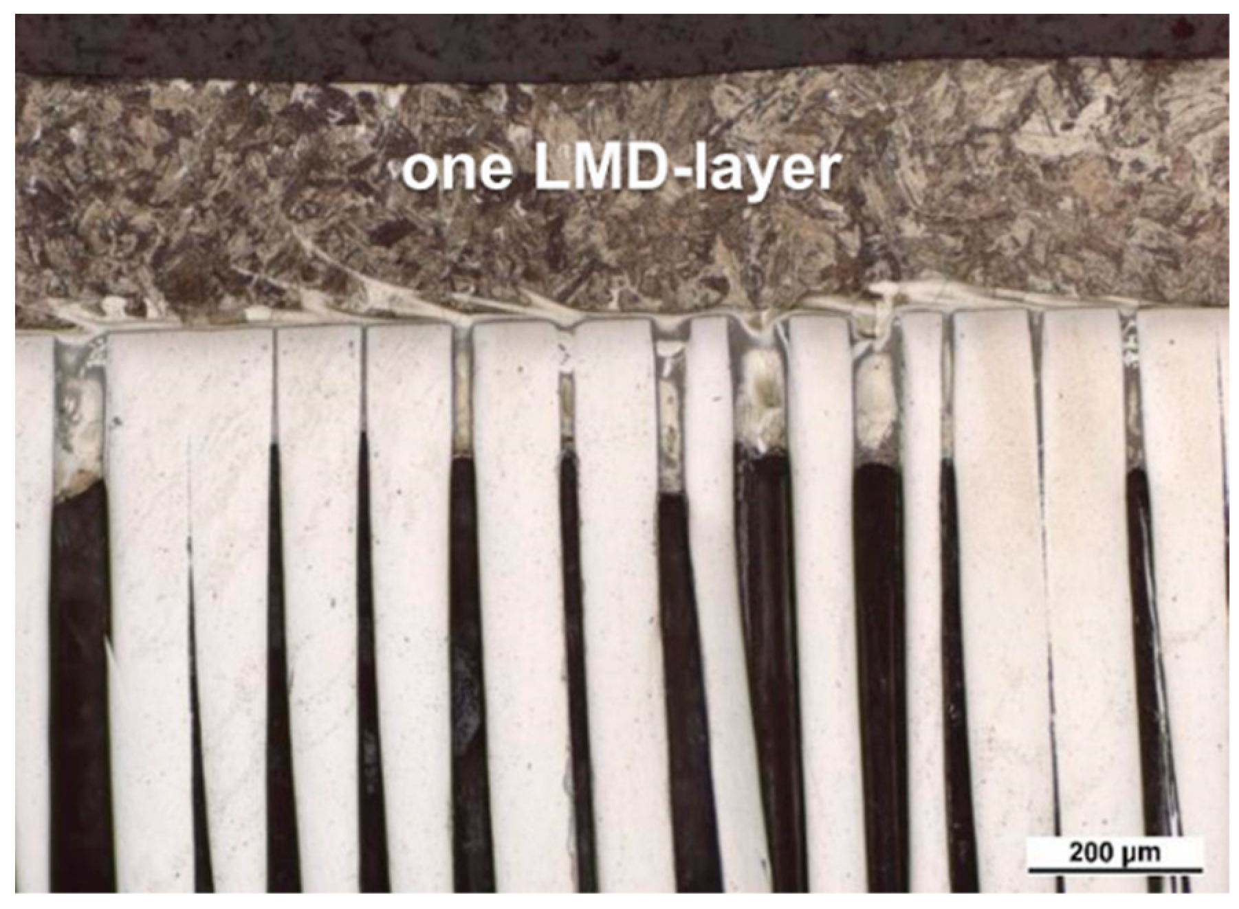 Jne 03 00020 g004 Jne 03 00020 g004