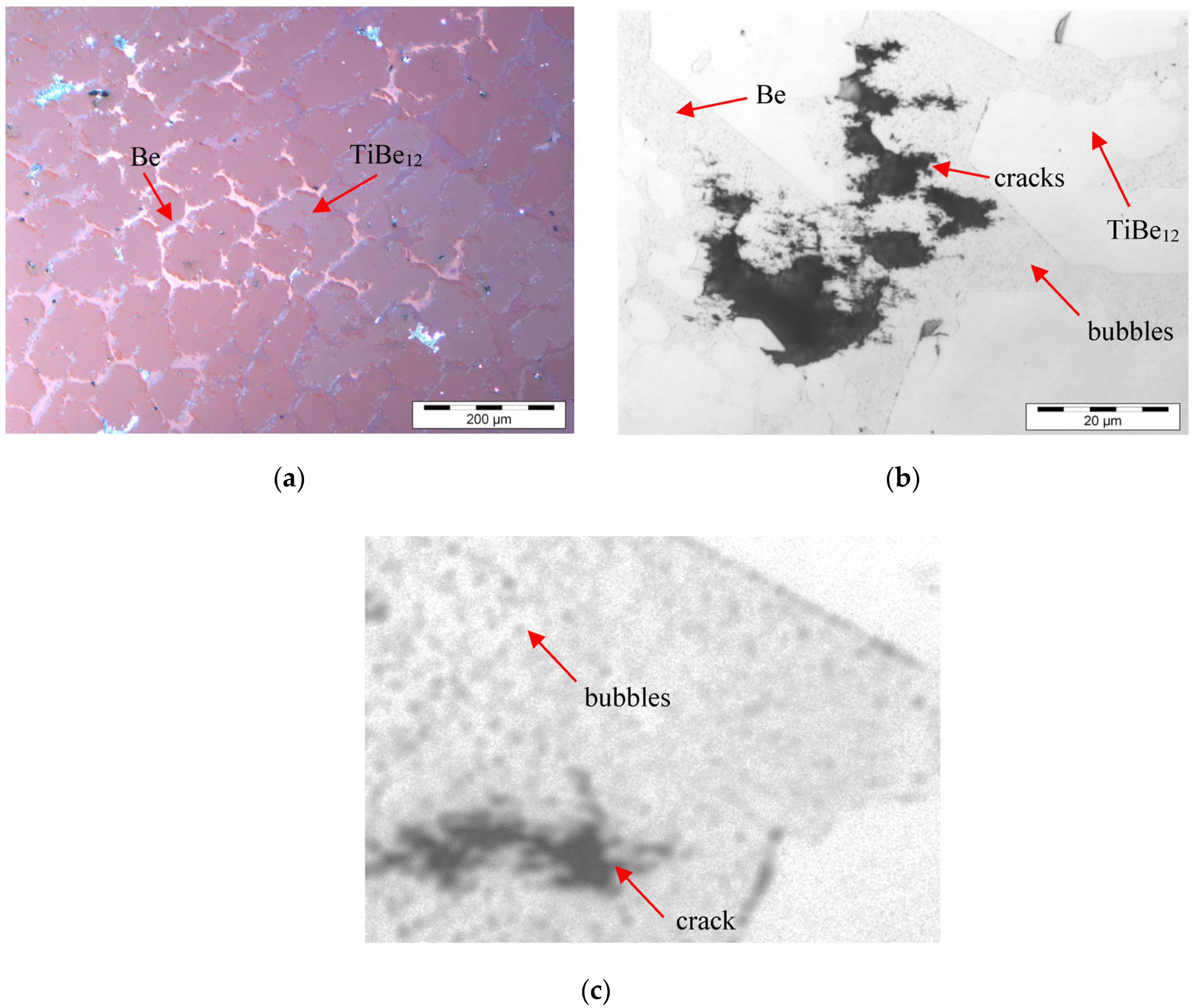 Jne 03 00026 g010 Jne 03 00026 g010