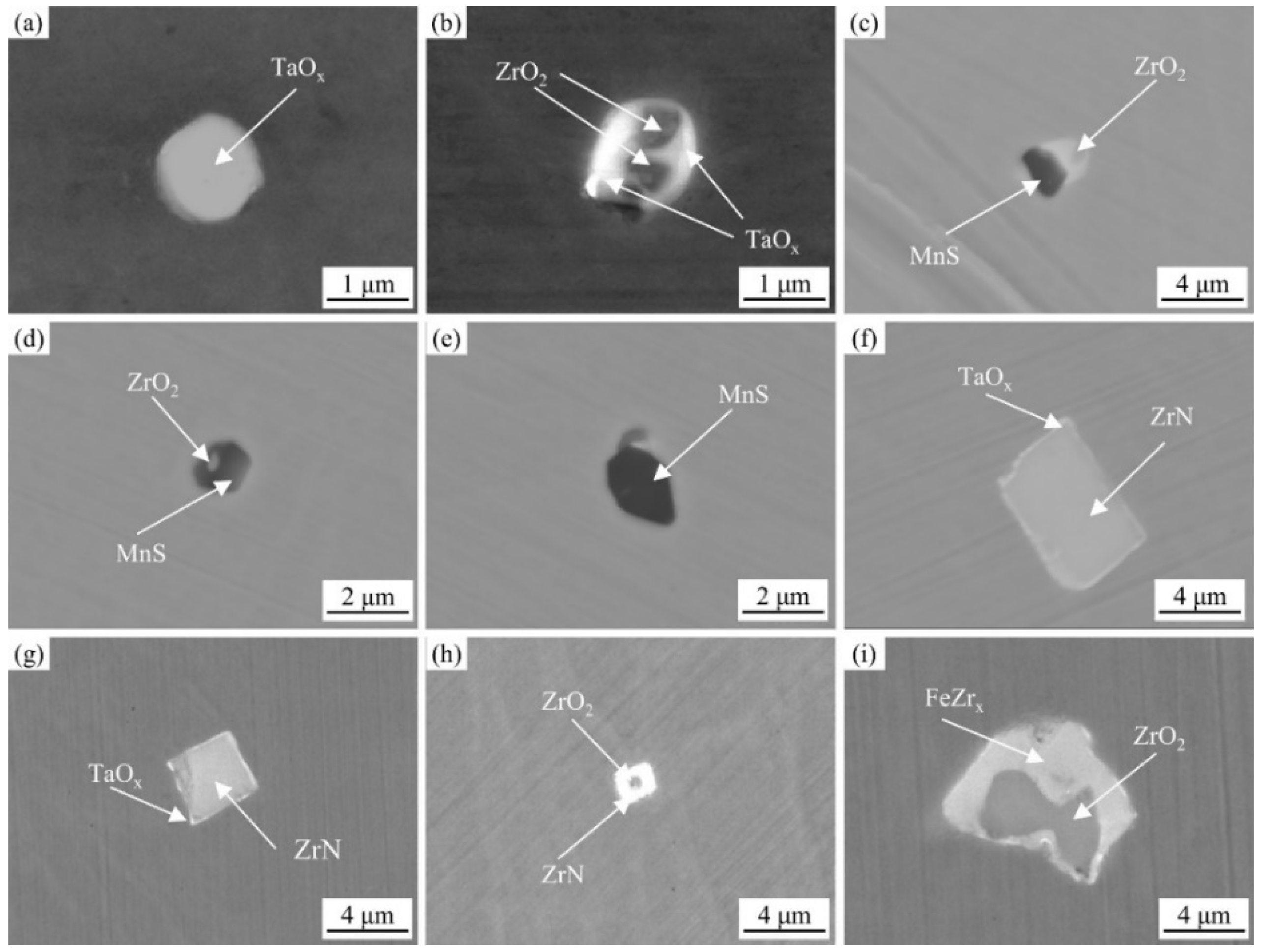 Jne 04 00009 g001 Jne 04 00009 g001