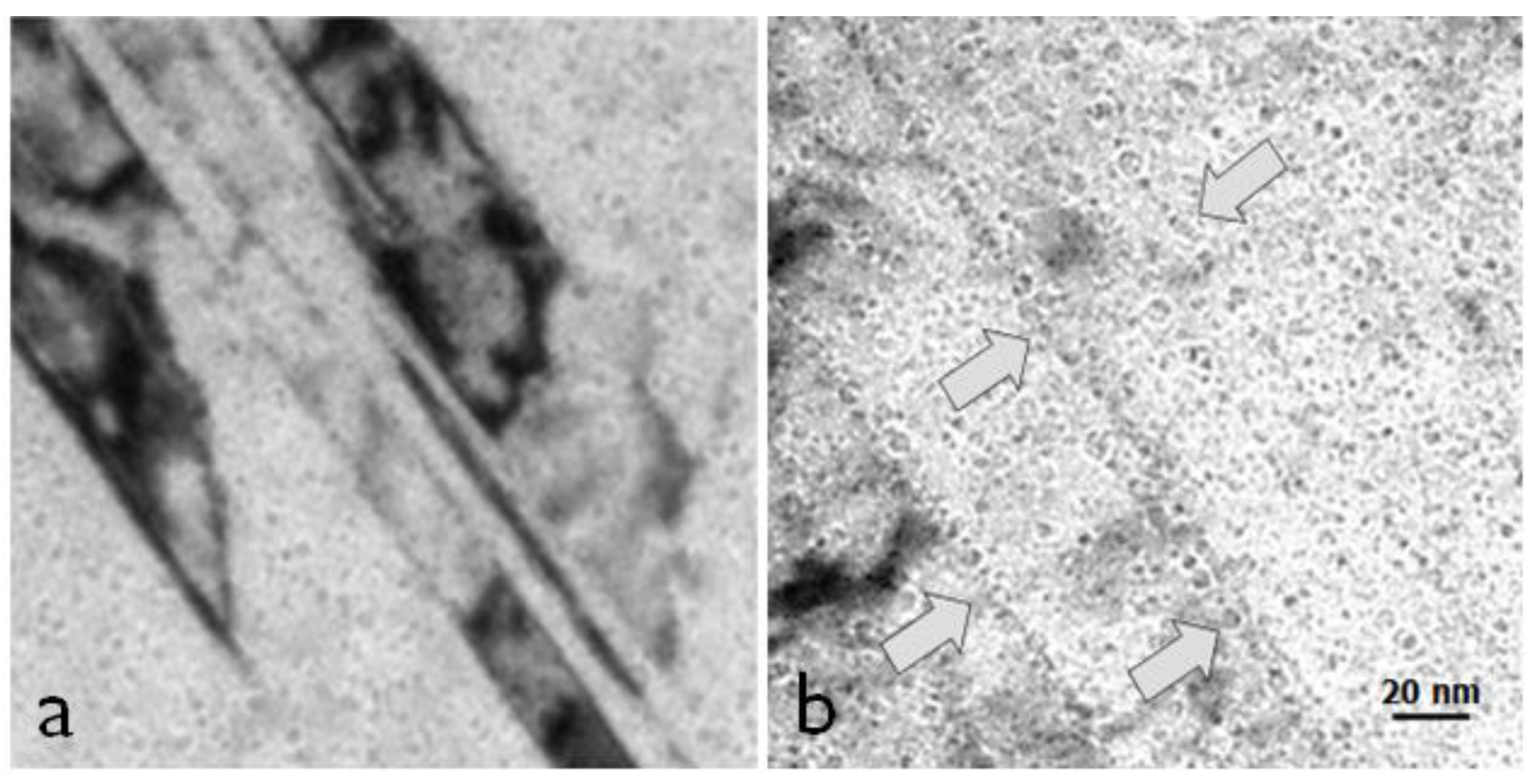 Jne 04 00026 g023 Jne 04 00026 g023