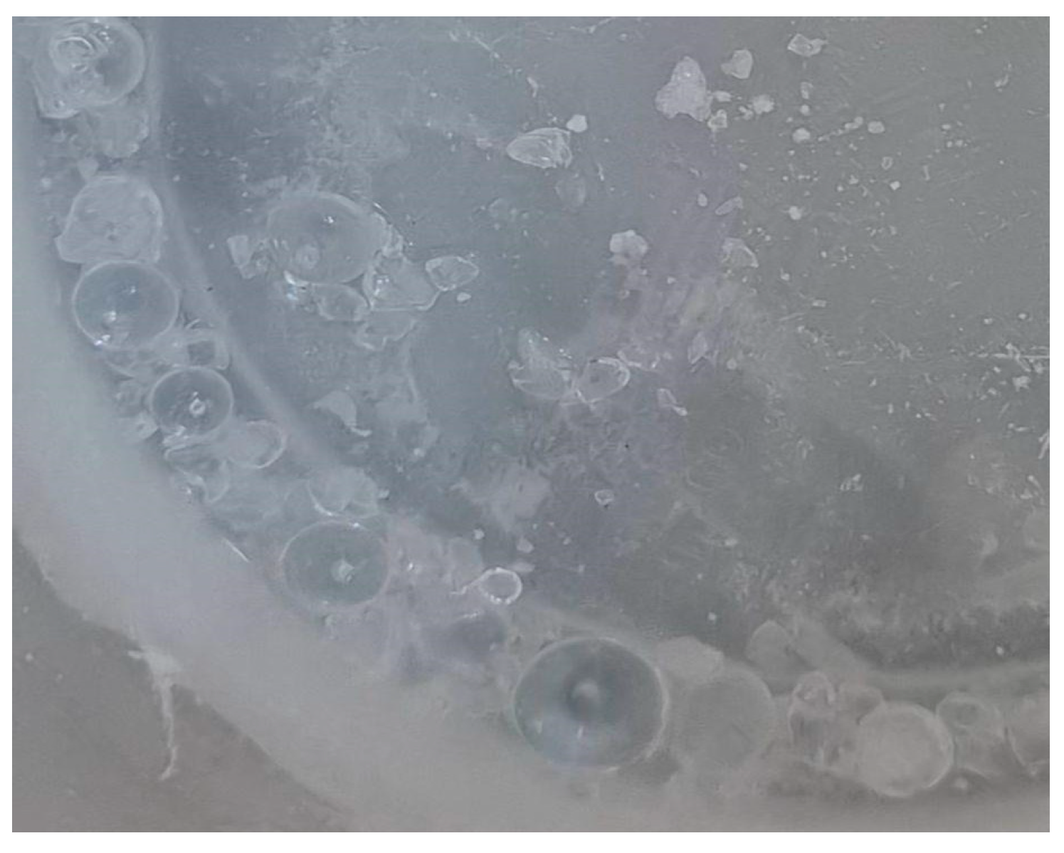 Jne 06 00009 g004 Jne 06 00009 g004