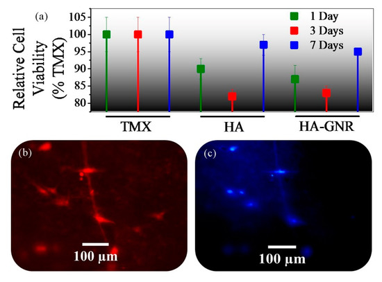 Synthesis of Graphene Nanoribbons–Hydroxyapatite
