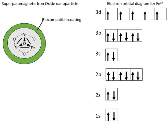 Jnt Free Full Text Use Of Superparamagnetic Iron Oxide Nanoparticles Spions Via Multiple Imaging Modalities And Modifications To Reduce Cytotoxicity An Educational Review Html Jnt Free Full Text Use Of Superparamagnetic Iron Oxide Nanoparticles Spions Via Multiple Imaging Modalities And Modifications To Reduce Cytotoxicity An Educational Review Html
