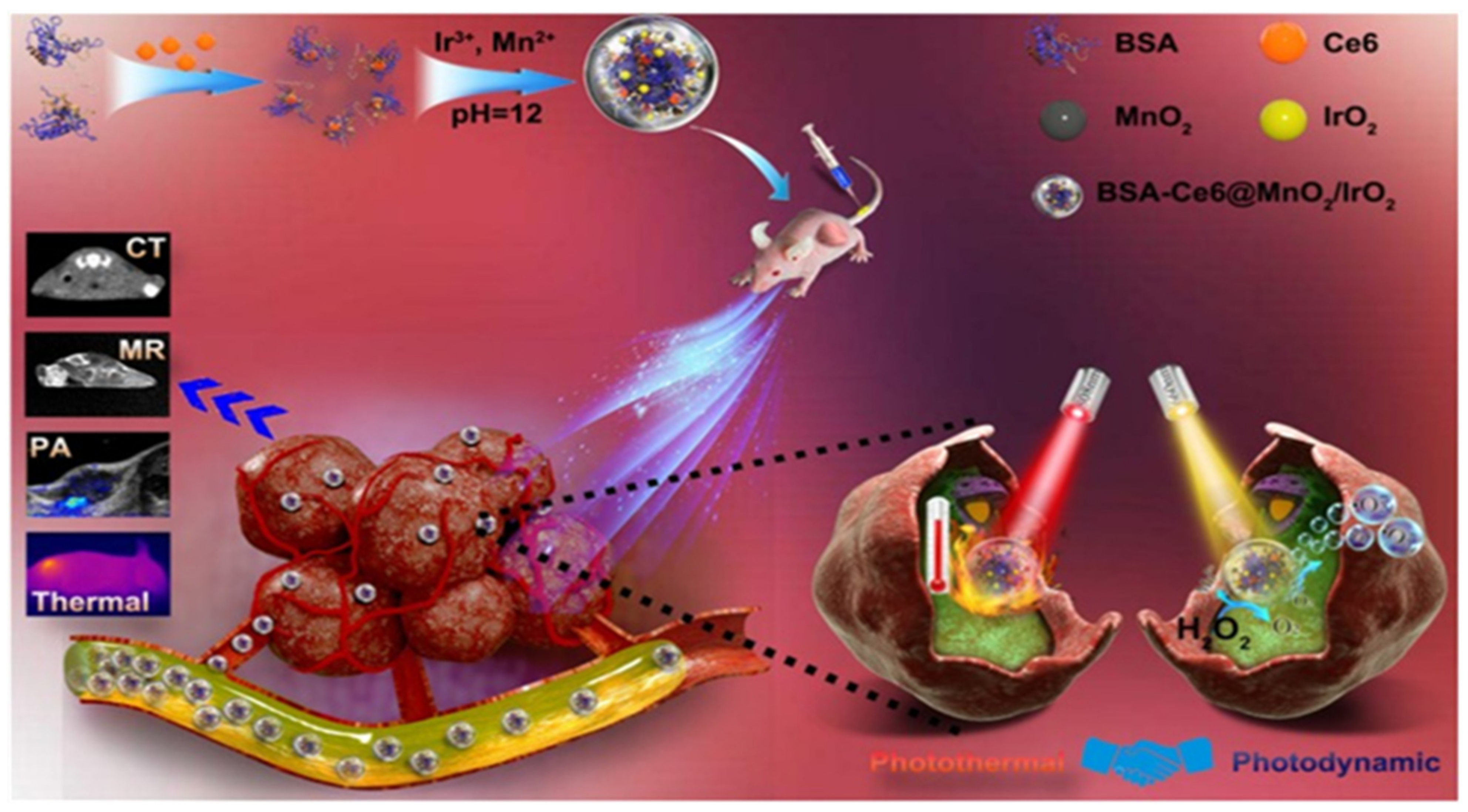 Jnt 02 00005 g003 Jnt 02 00005 g003