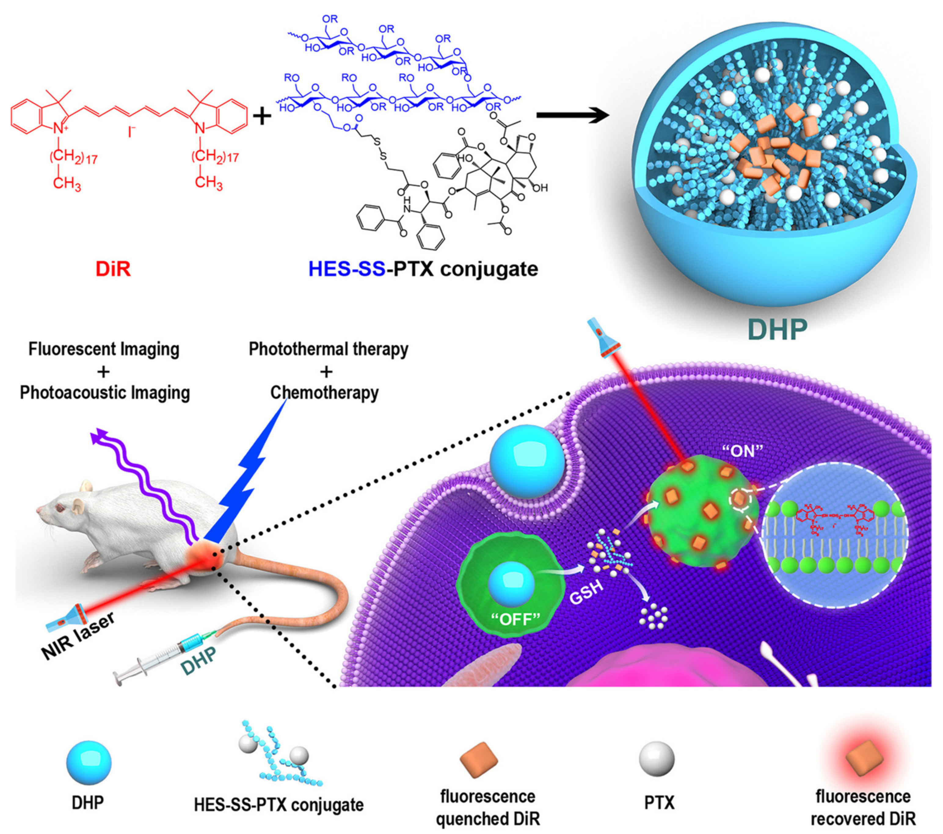 Jnt 02 00005 g004 Jnt 02 00005 g004