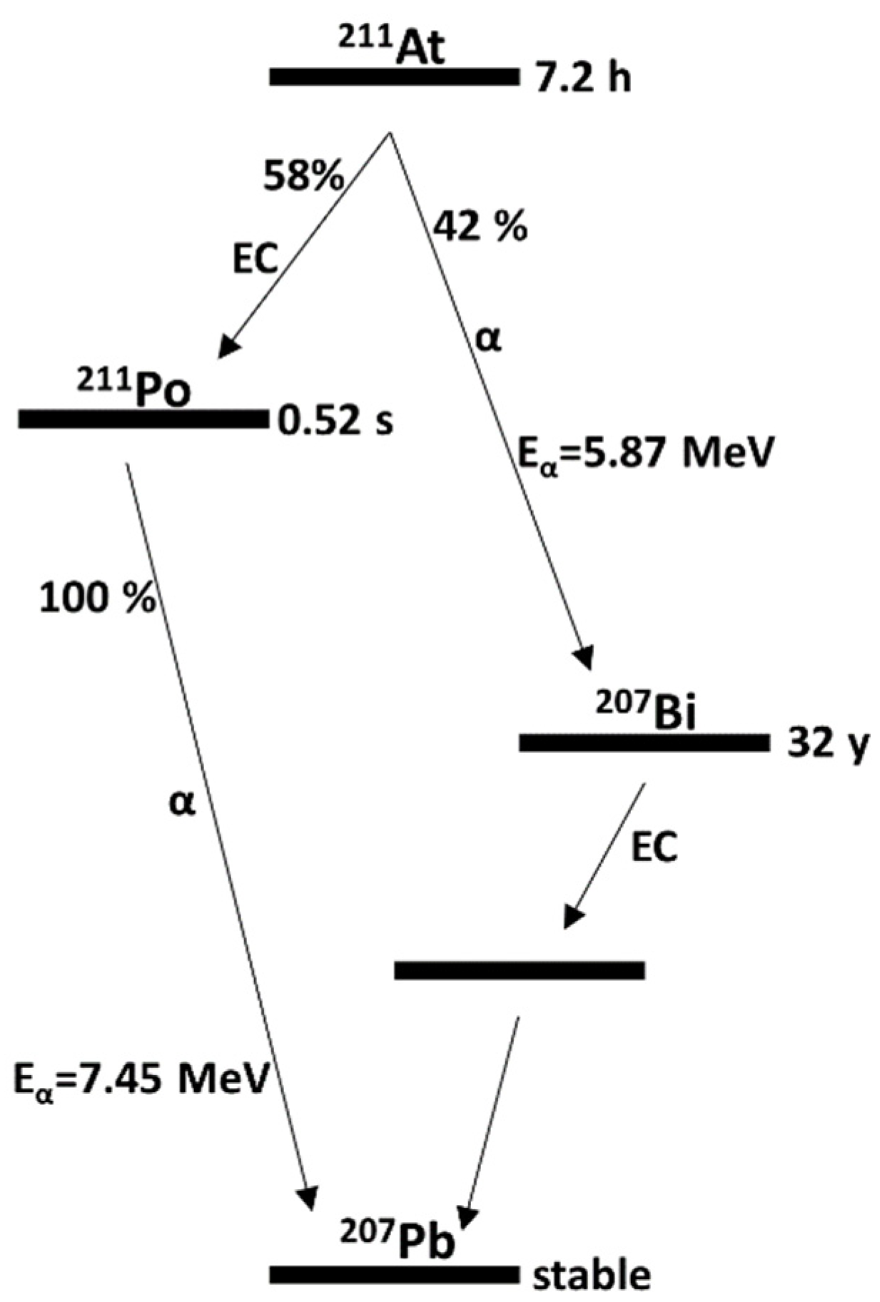 Jnt 02 00012 g001 550