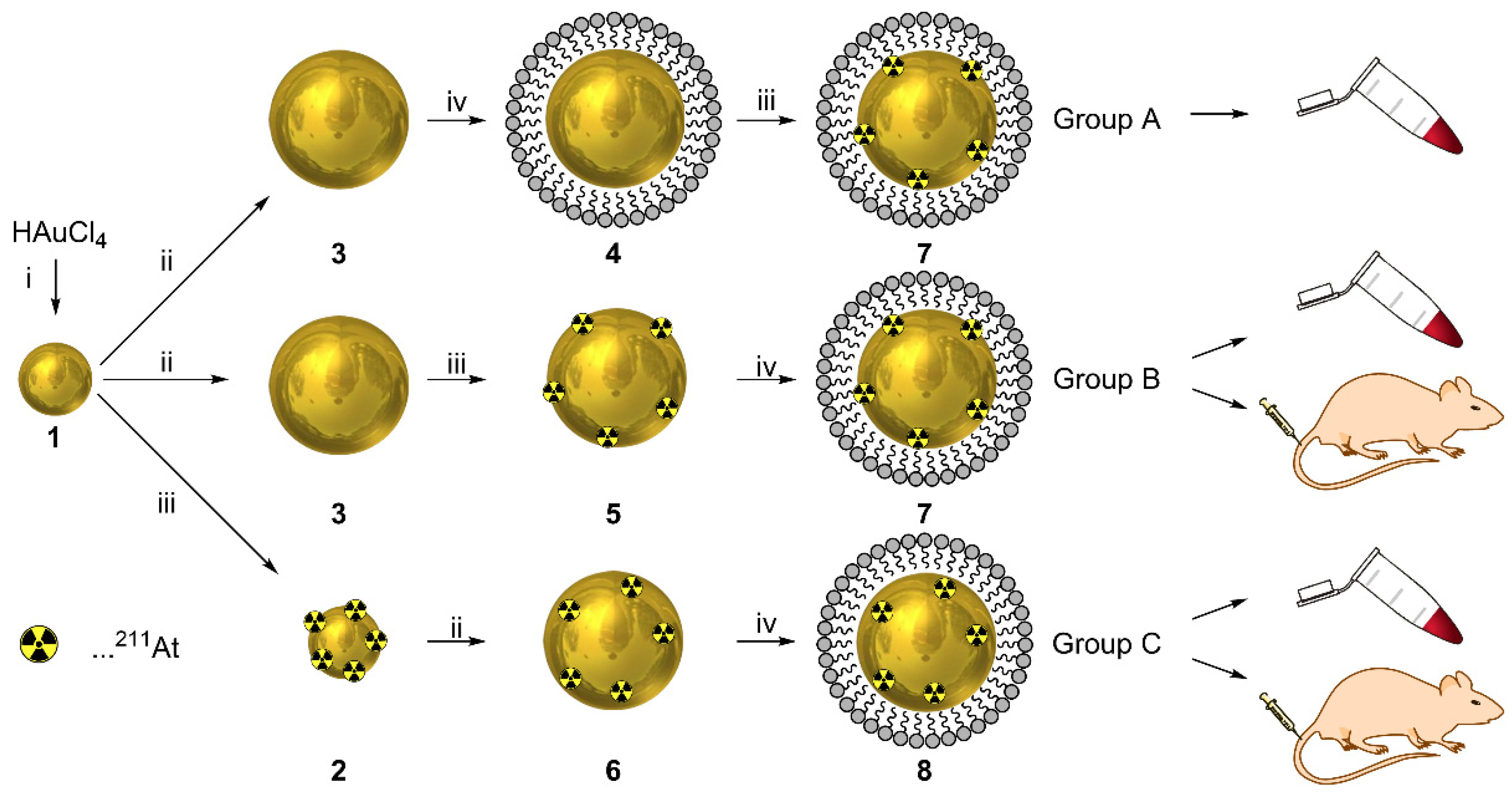 Jnt 02 00012 g002 550