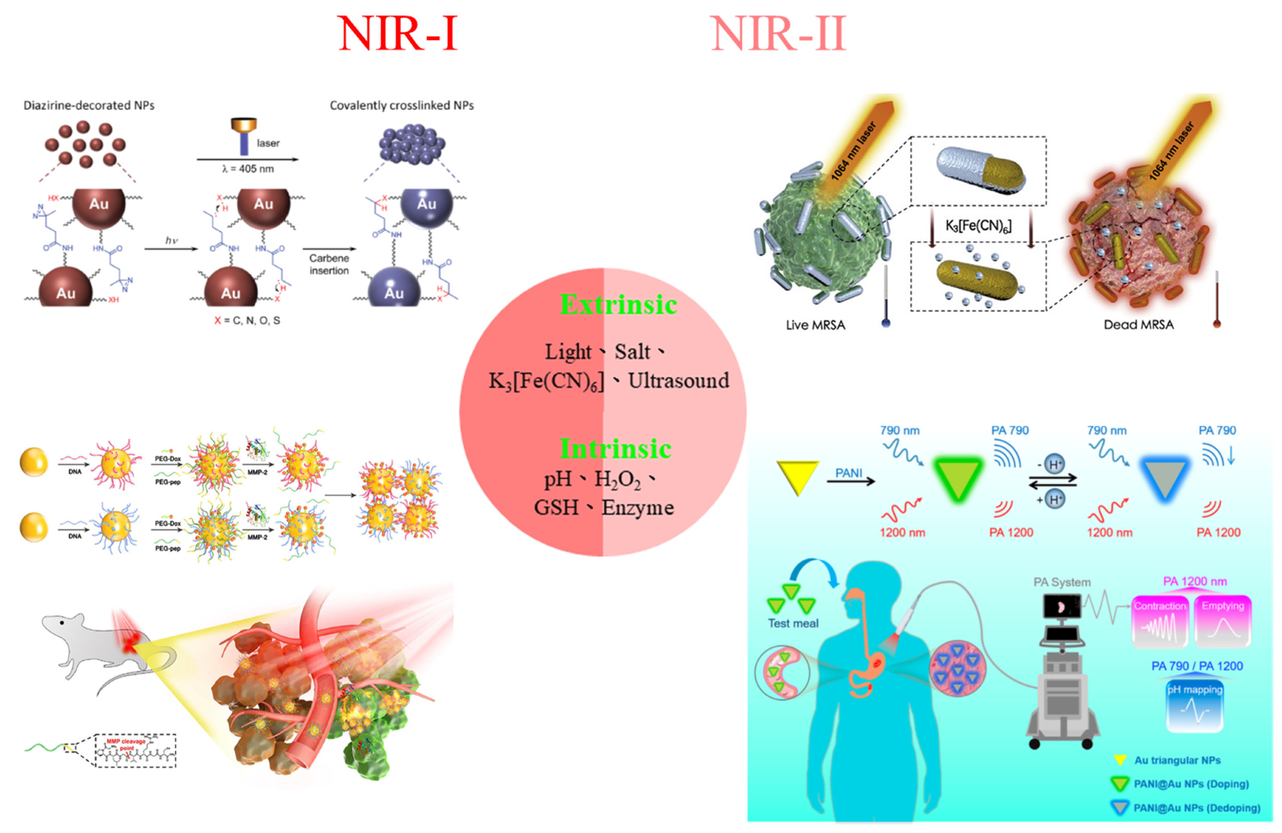 Jnt 03 00008 g003 550