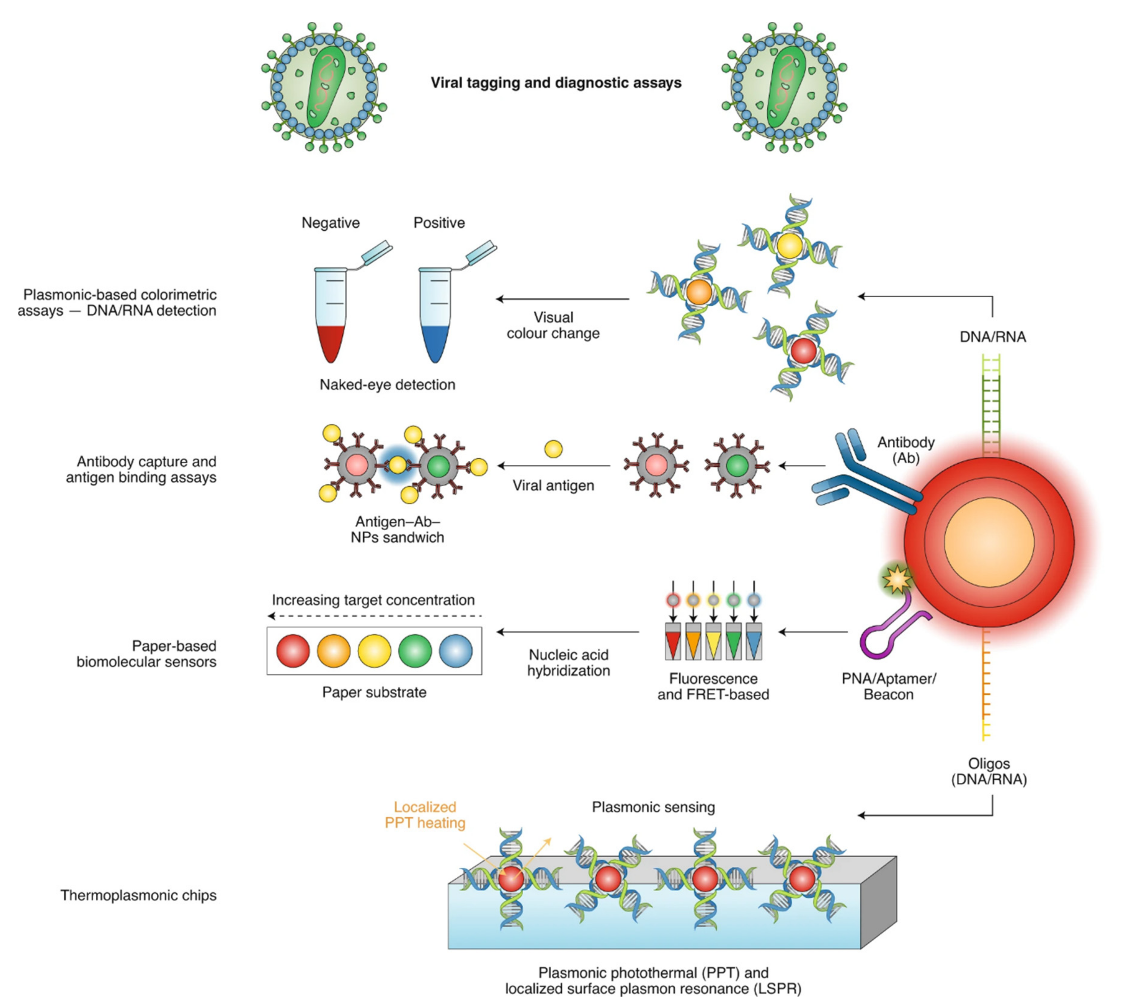 Jnt 03 00011 g001 Jnt 03 00011 g001