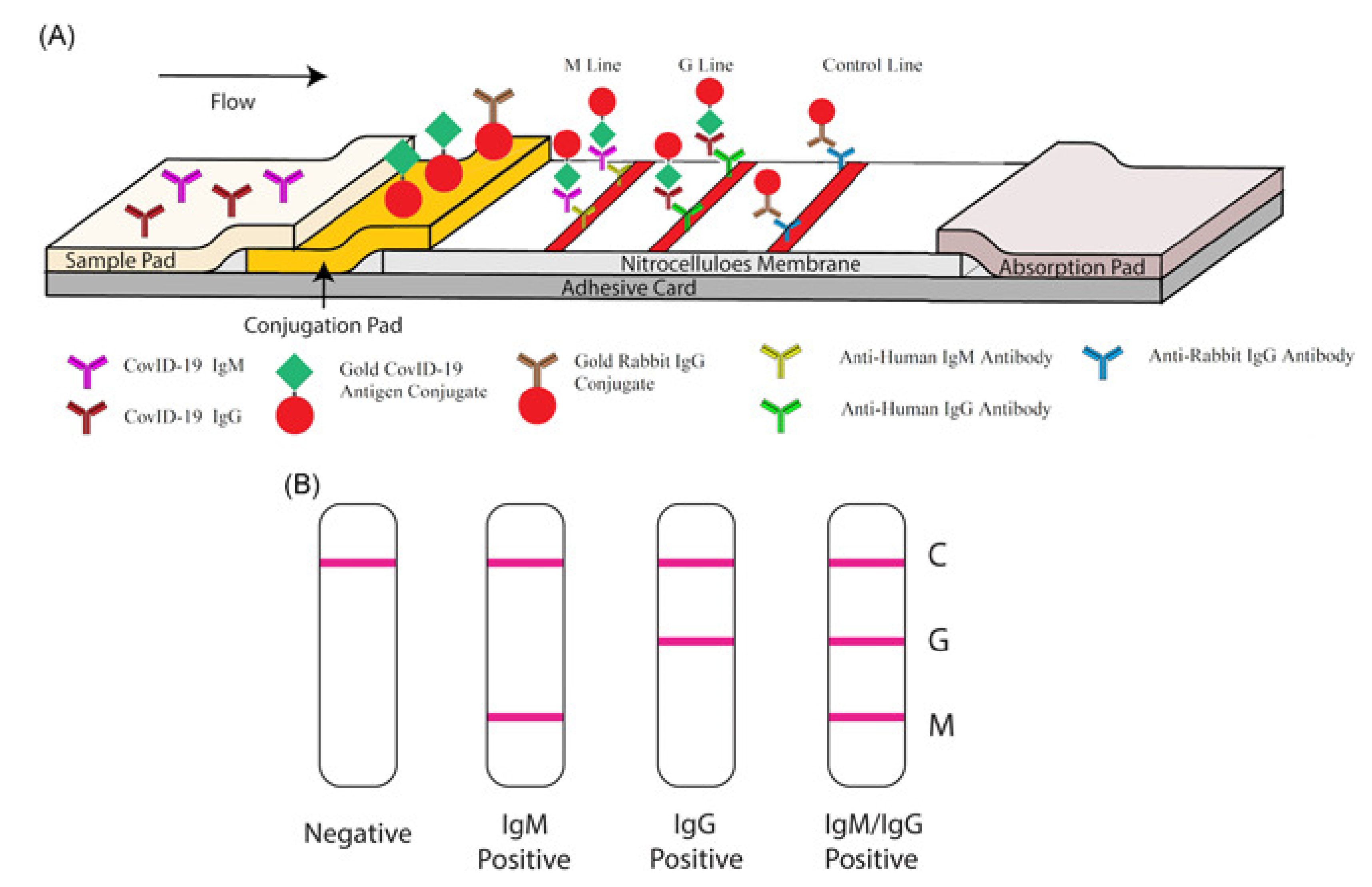 Jnt 03 00011 g002 Jnt 03 00011 g002