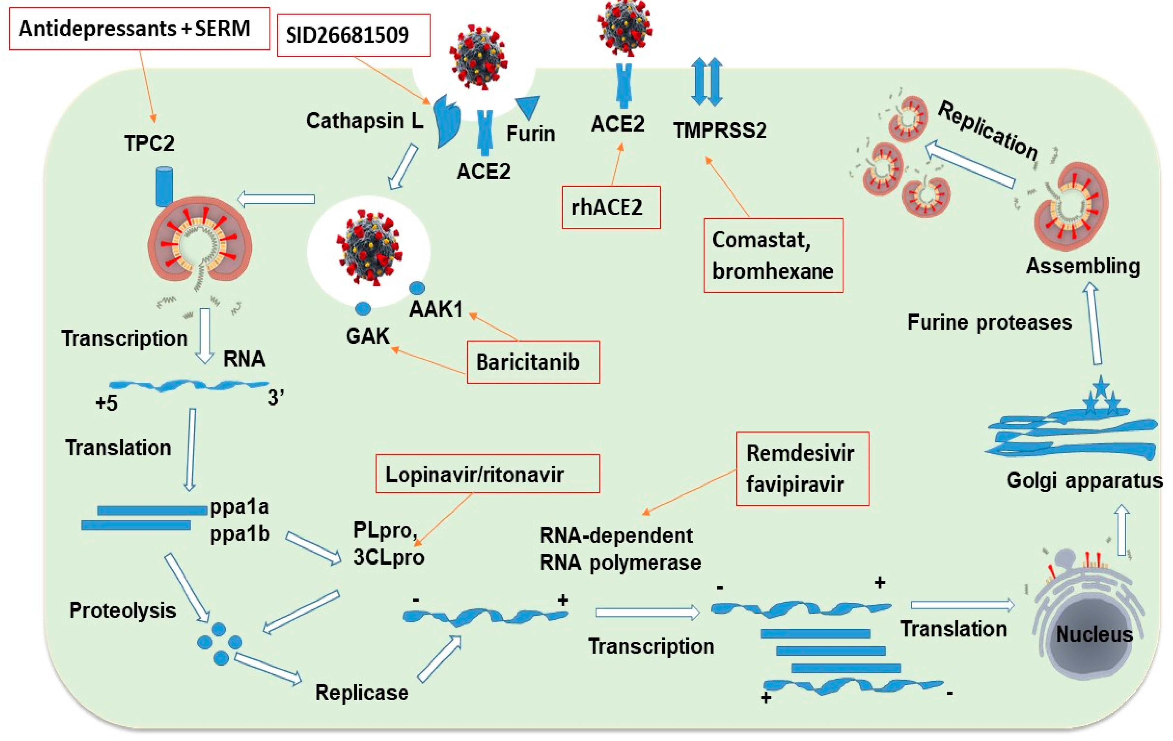 Jnt 03 00014 g001 Jnt 03 00014 g001