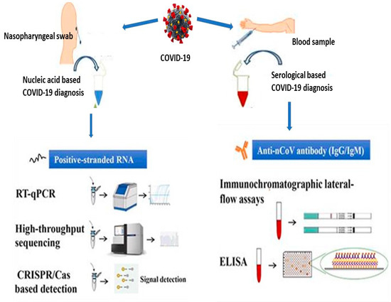 dan pompa glutathione liposomal Application of Nanotechnology in COVID-19 Infection: Findings and Limitations Homocysteine Style:Trial Pack Category_Default Category/HÄLSA & KOSTTILLSKOTT/MINERALER/KOPPPAR