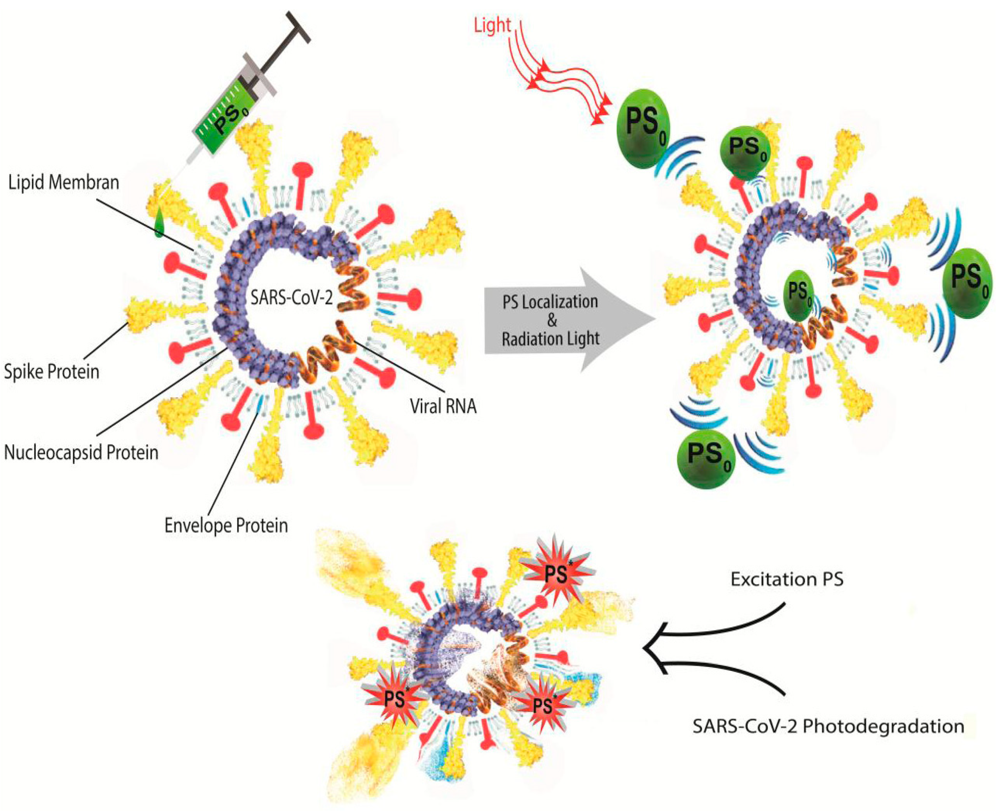 Jnt 03 00014 g005 Jnt 03 00014 g005
