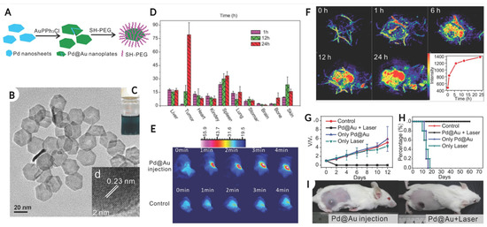 Recent Advances in Noble Metal Nanoparticles for Cancer Nanotheranostics