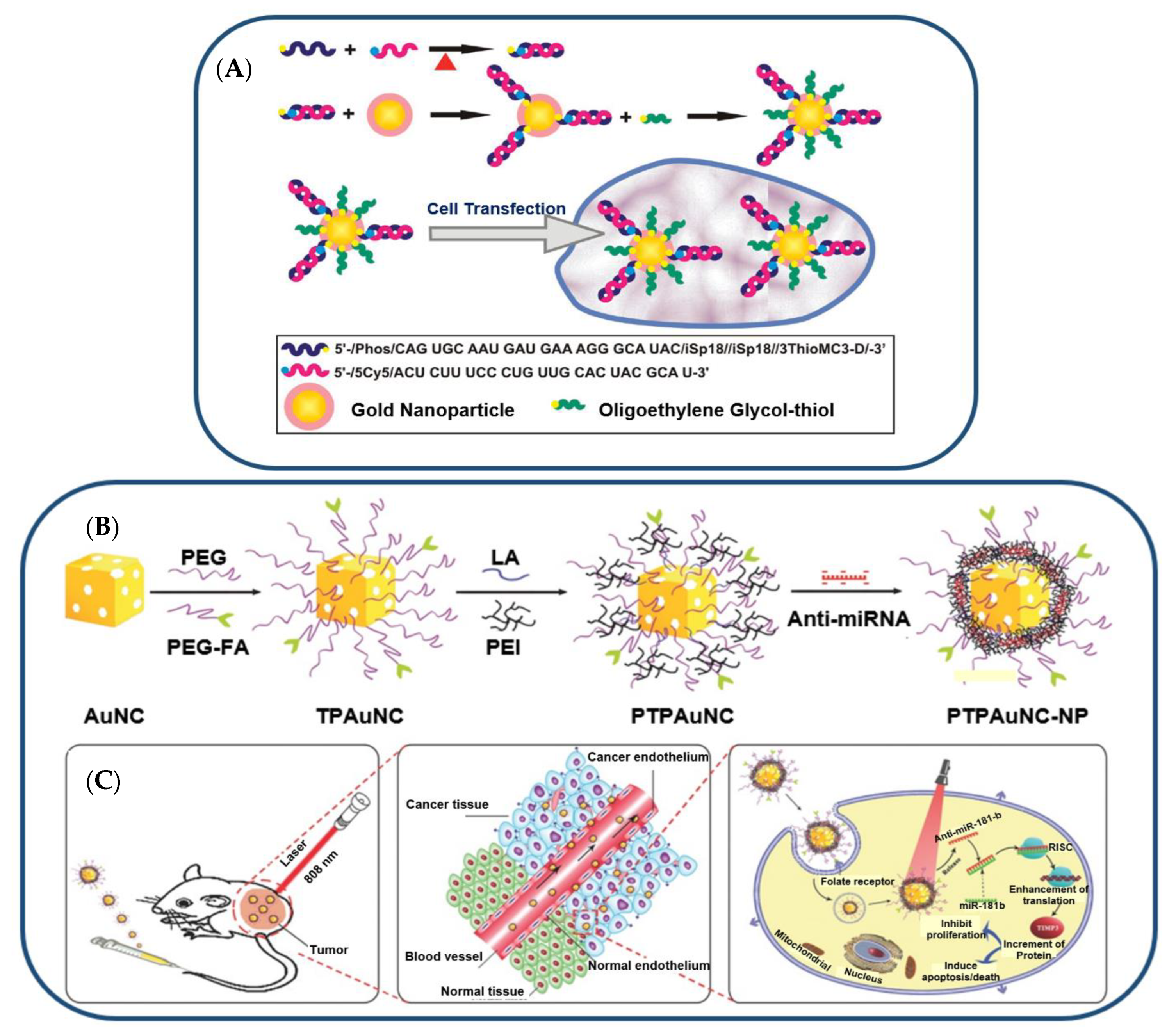 Jnt 04 00009 g006 Jnt 04 00009 g006