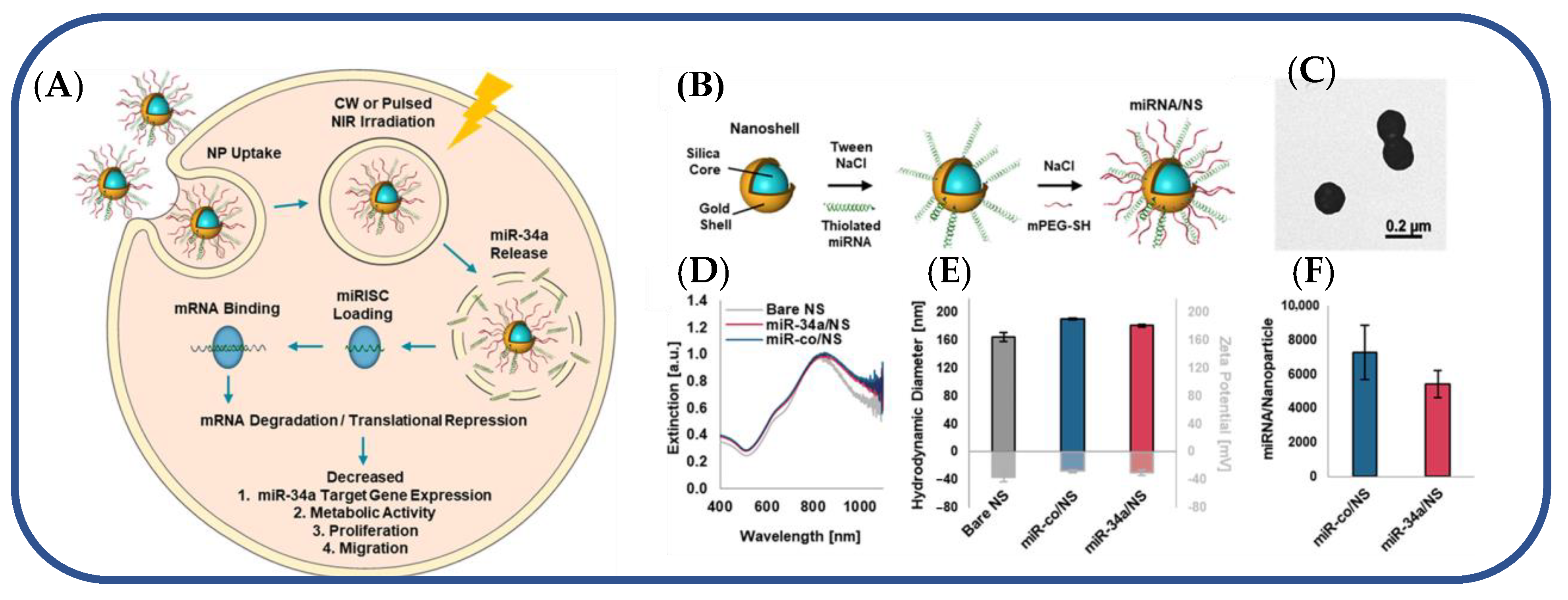 Jnt 04 00009 g007 Jnt 04 00009 g007