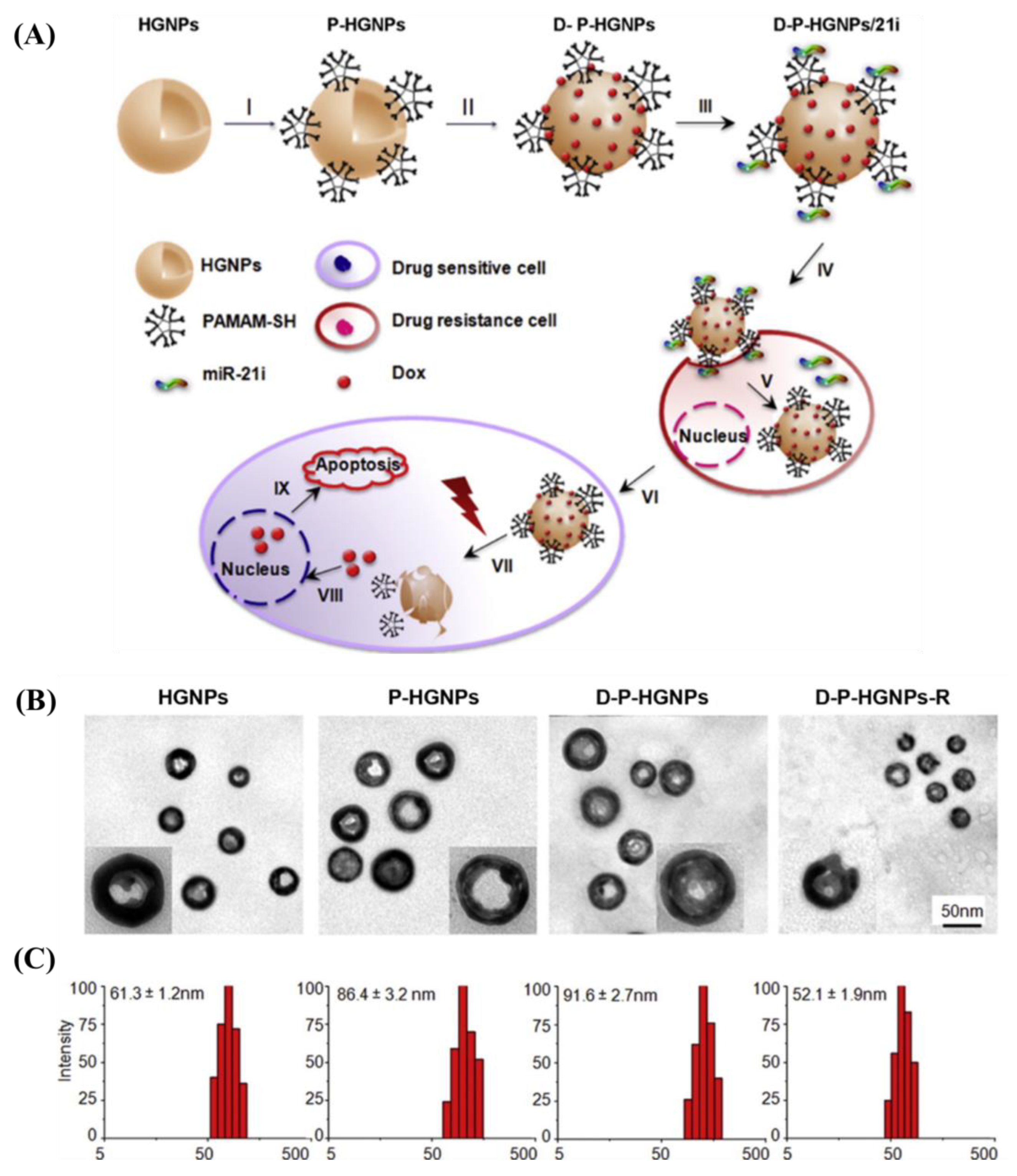 Jnt 04 00009 g008 Jnt 04 00009 g008