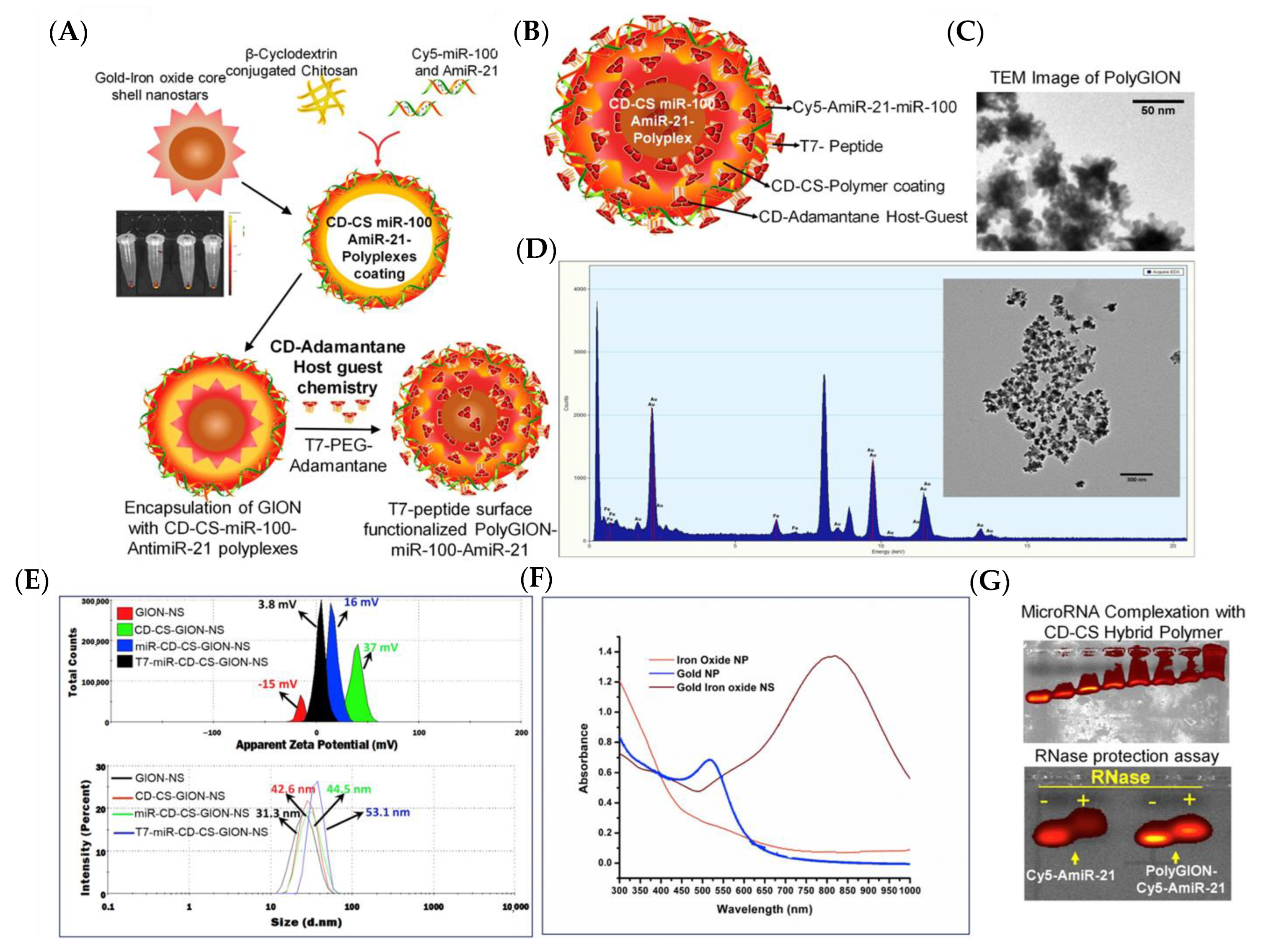 Jnt 04 00009 g009 Jnt 04 00009 g009