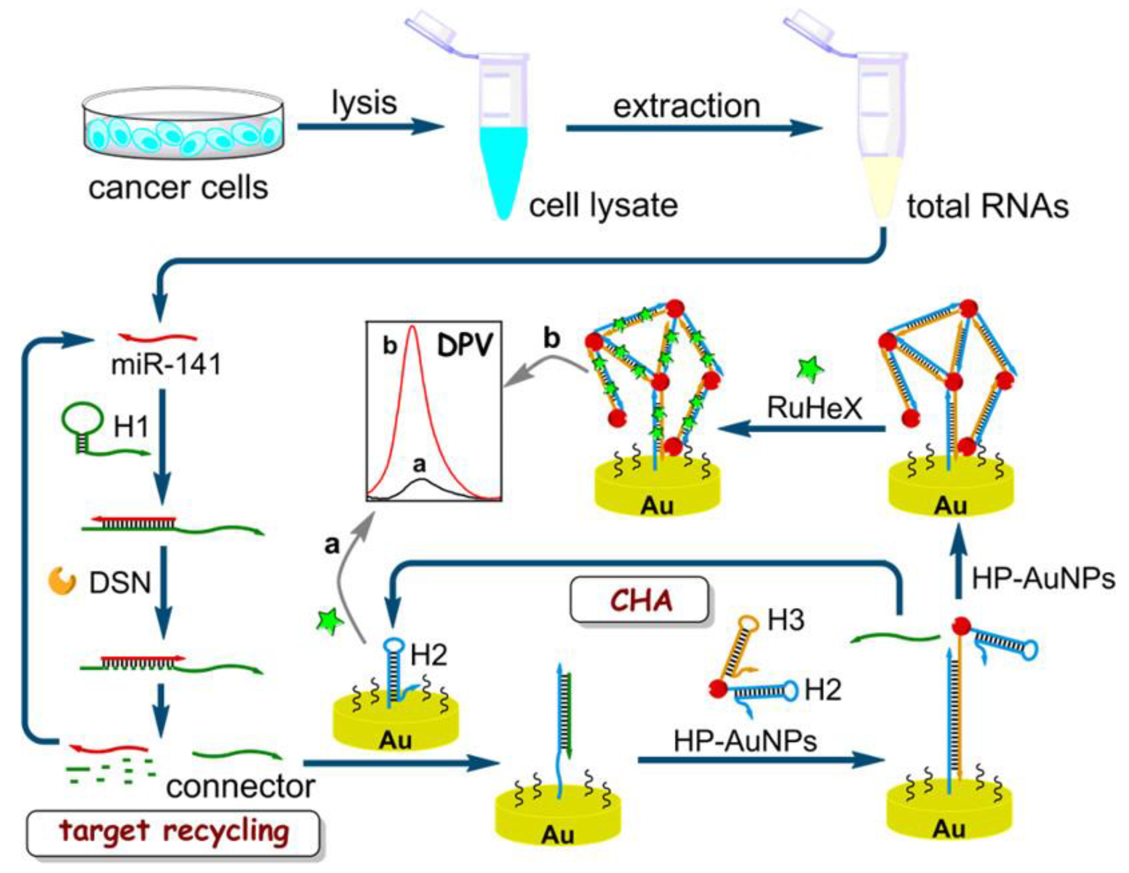 Jnt 04 00009 g010 Jnt 04 00009 g010