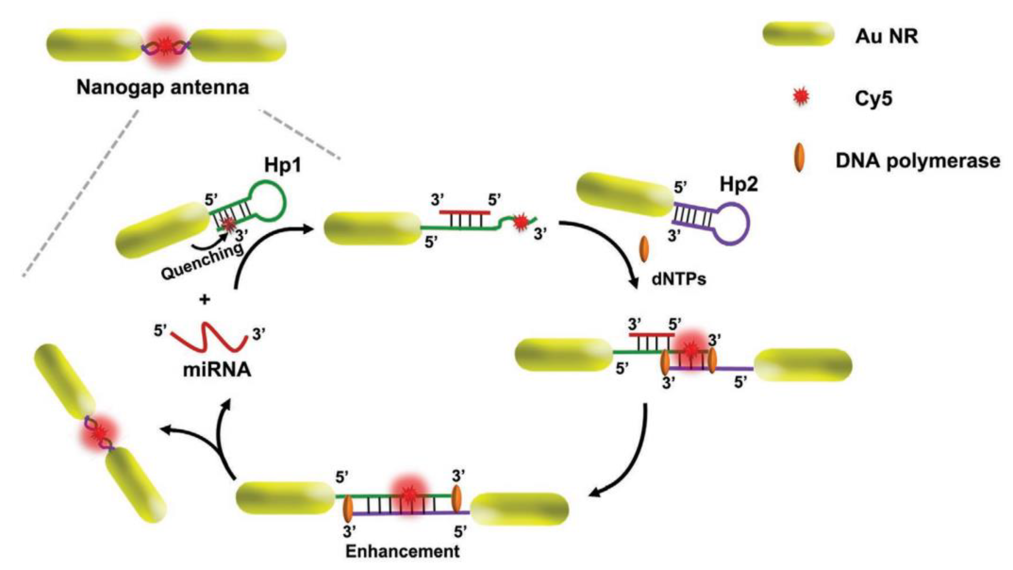 Jnt 04 00009 g012 Jnt 04 00009 g012