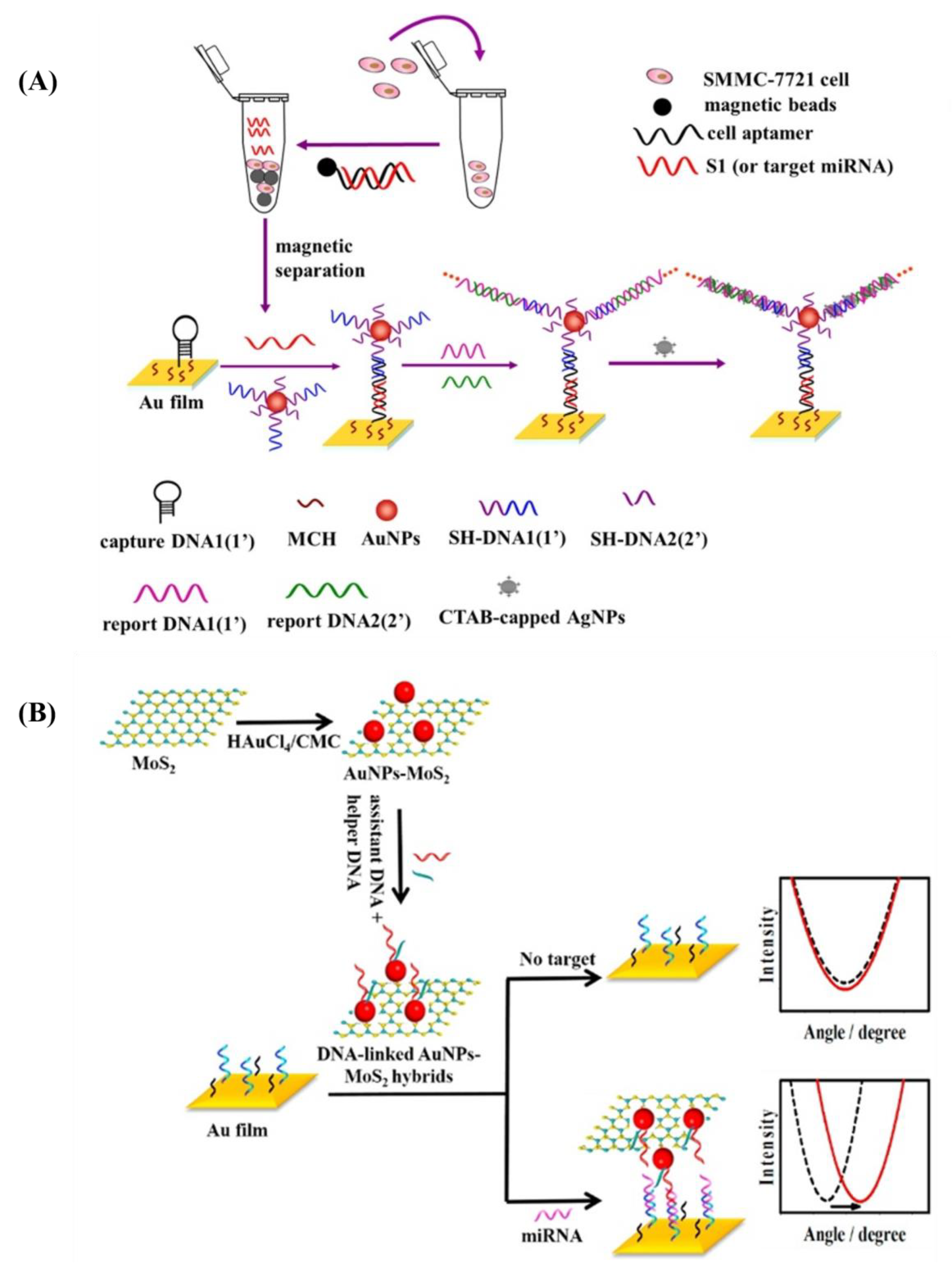 Jnt 04 00009 g013 Jnt 04 00009 g013