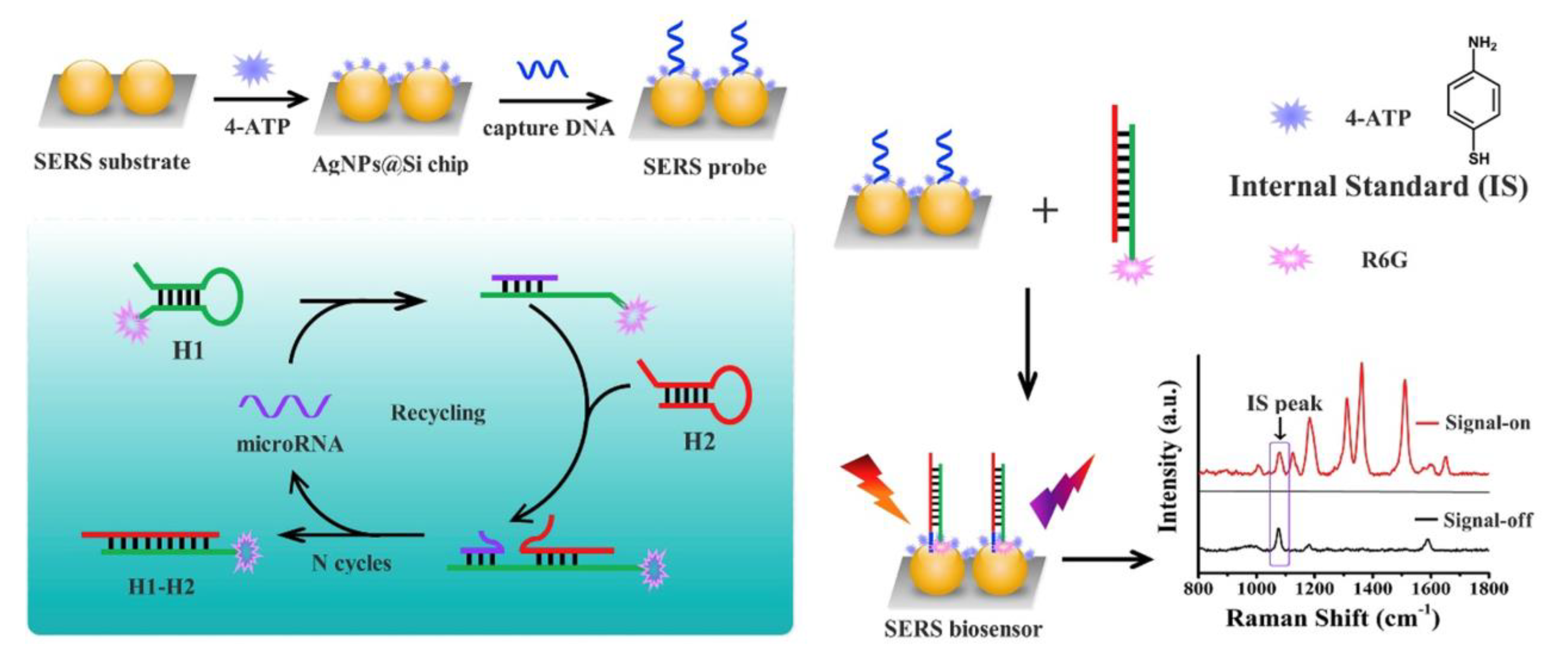 Jnt 04 00009 g014 Jnt 04 00009 g014