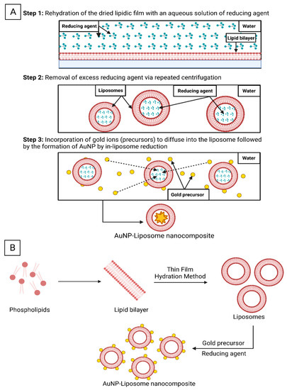 The Golden Liposomes: Preparation and Biomedical Applications of Gold ...
