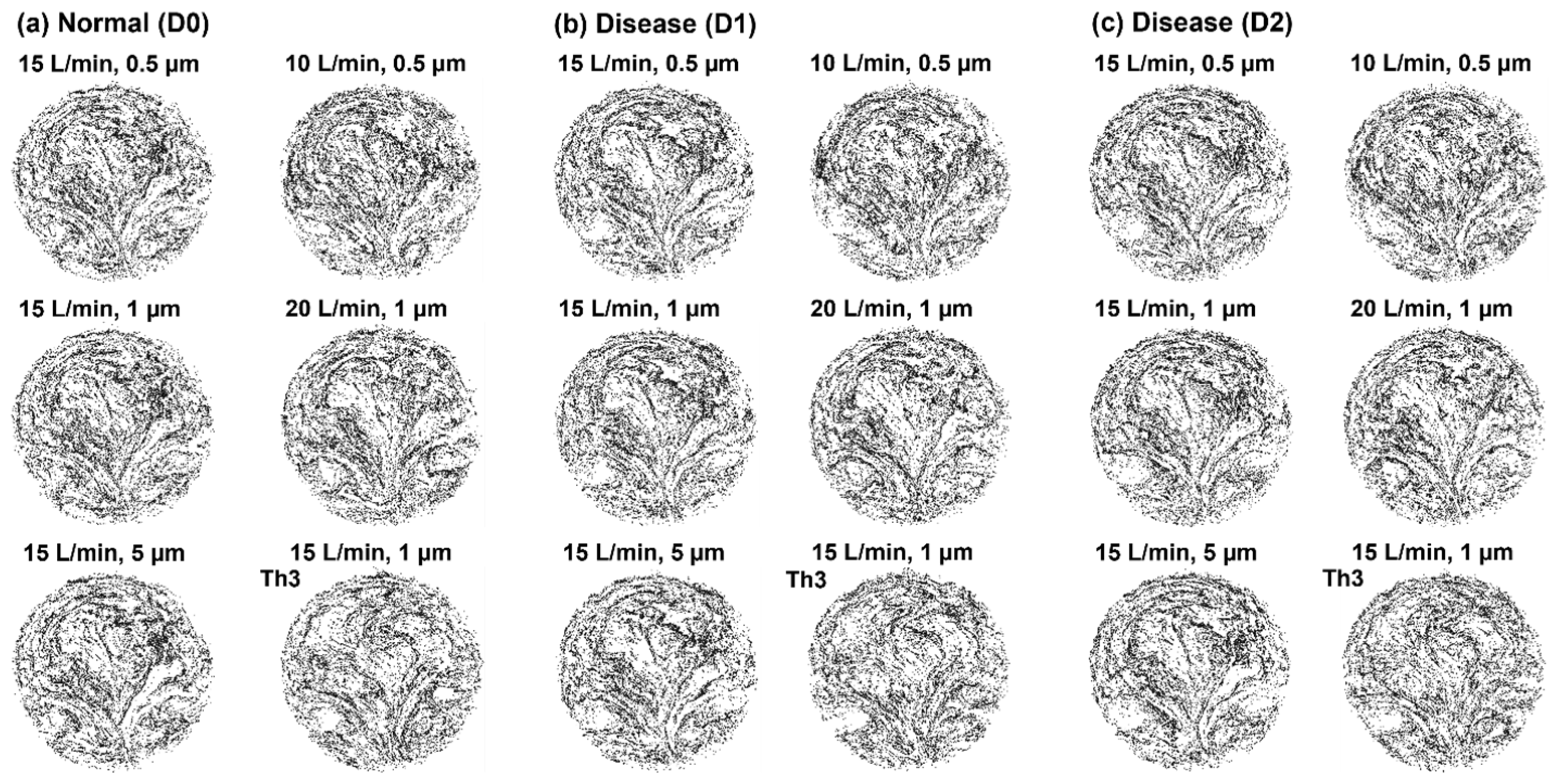 Jnt 04 00011 g003 Jnt 04 00011 g003