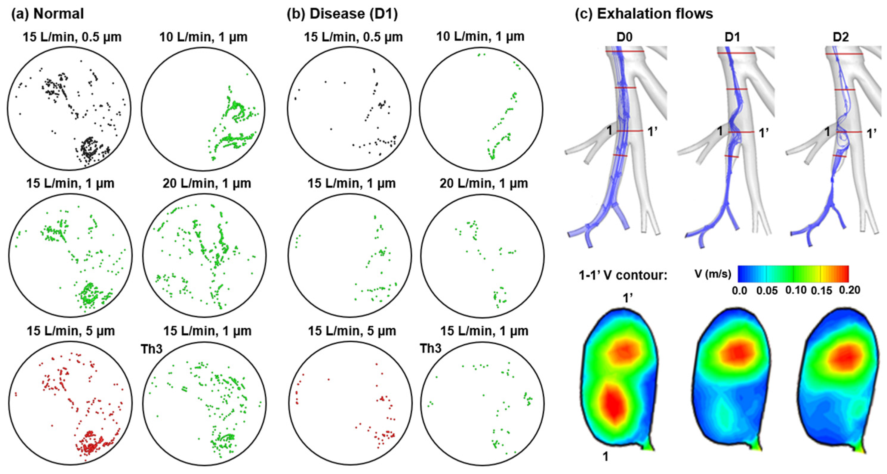 Jnt 04 00011 g004 Jnt 04 00011 g004