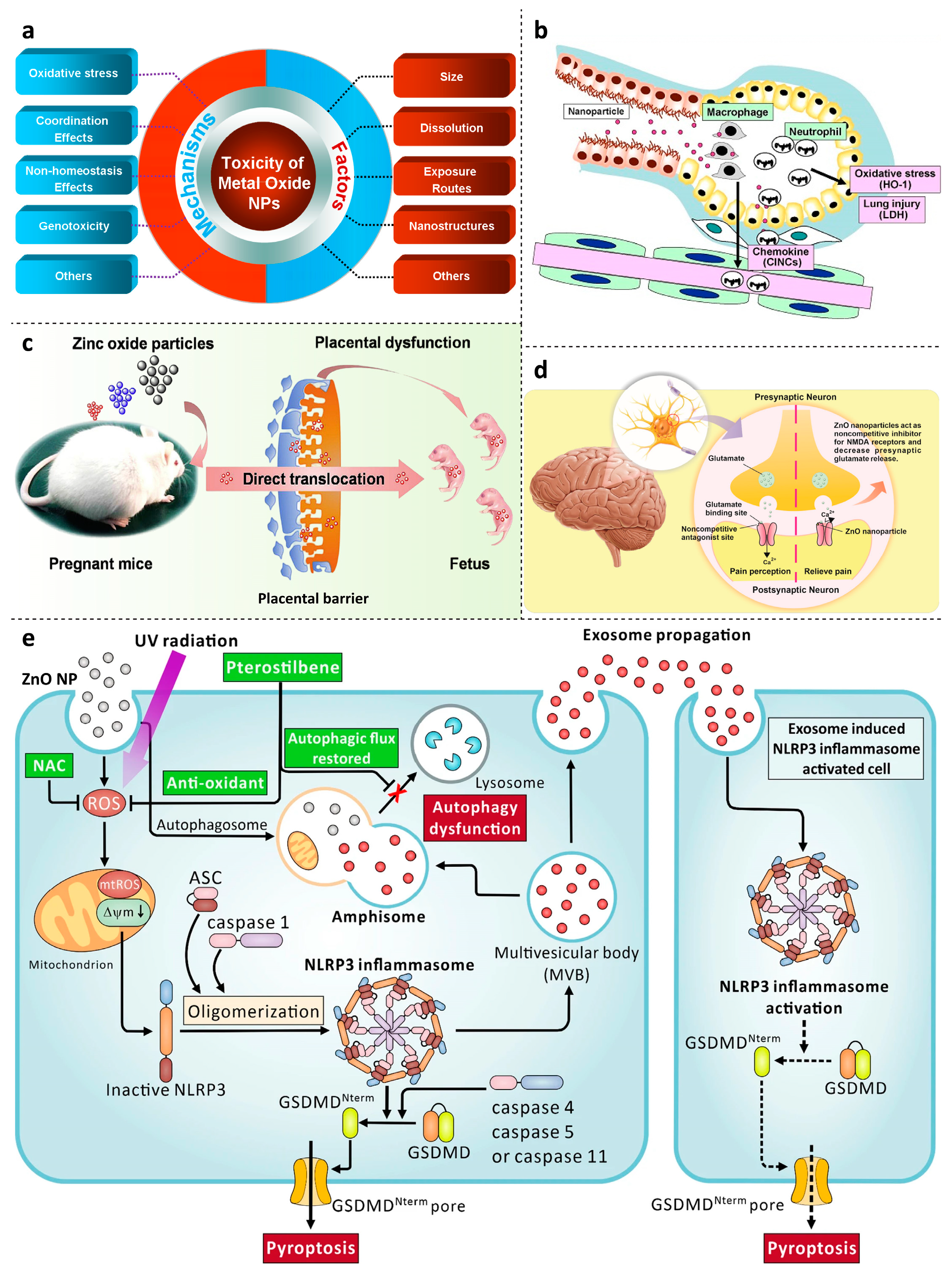 Jnt 04 00012 g002 Jnt 04 00012 g002