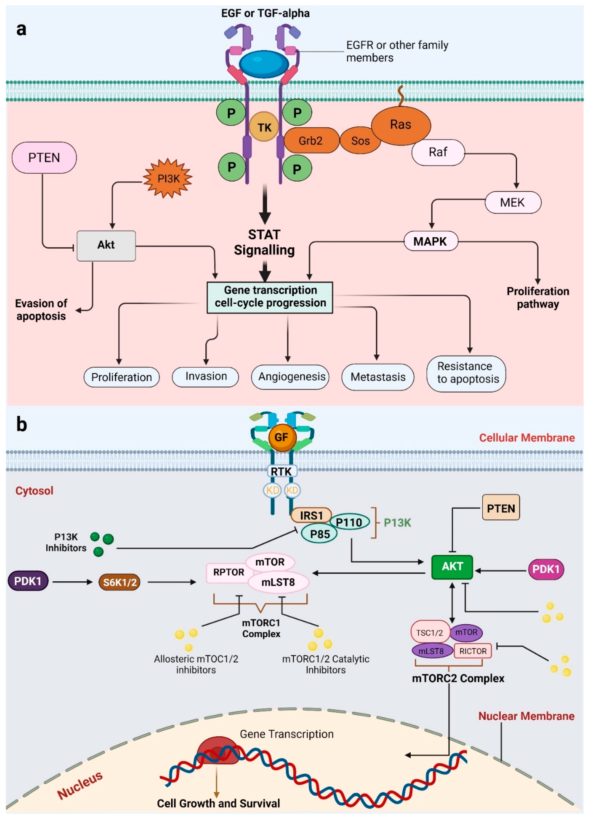 Jnt 04 00012 g003 Jnt 04 00012 g003