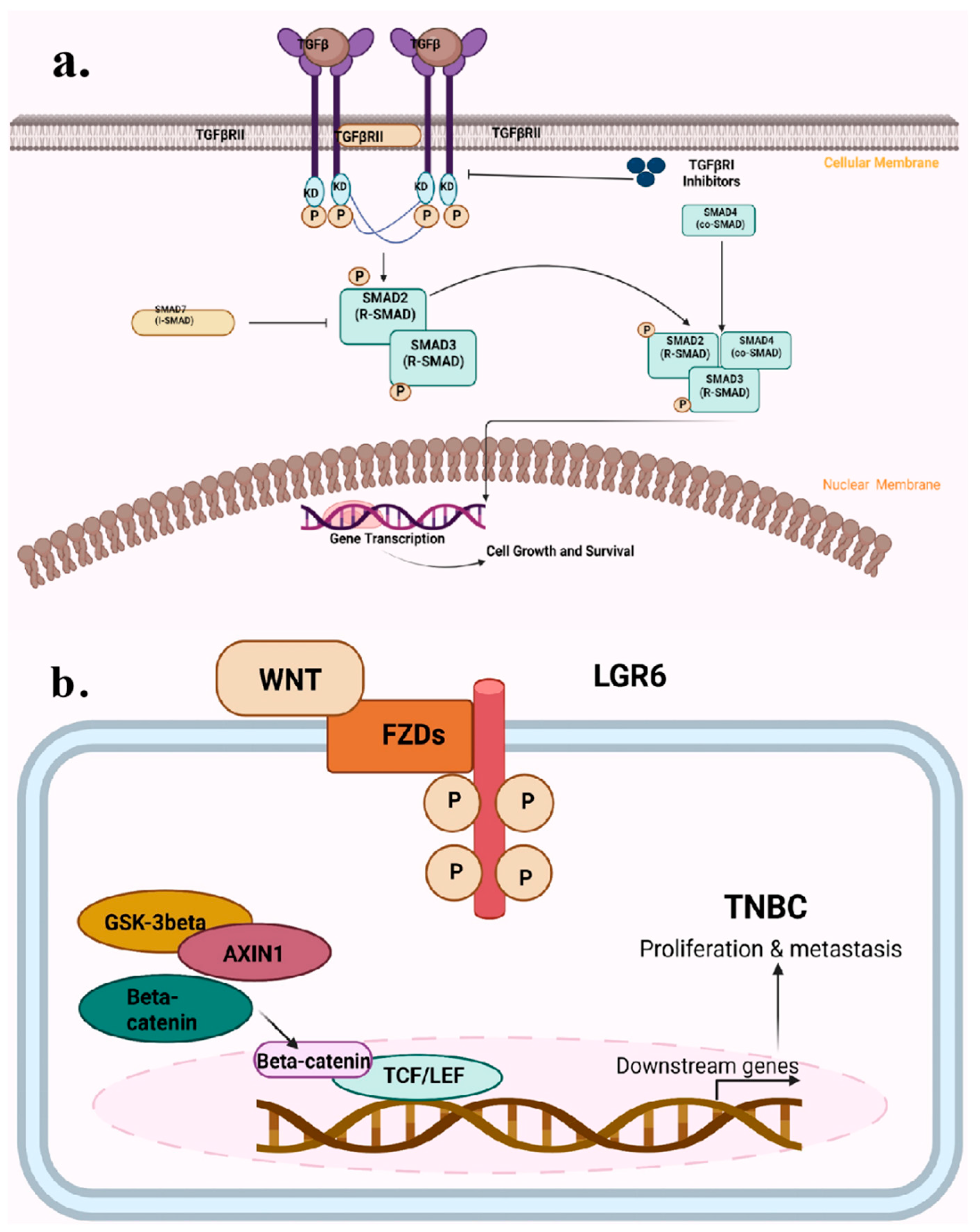 Jnt 04 00012 g004 Jnt 04 00012 g004