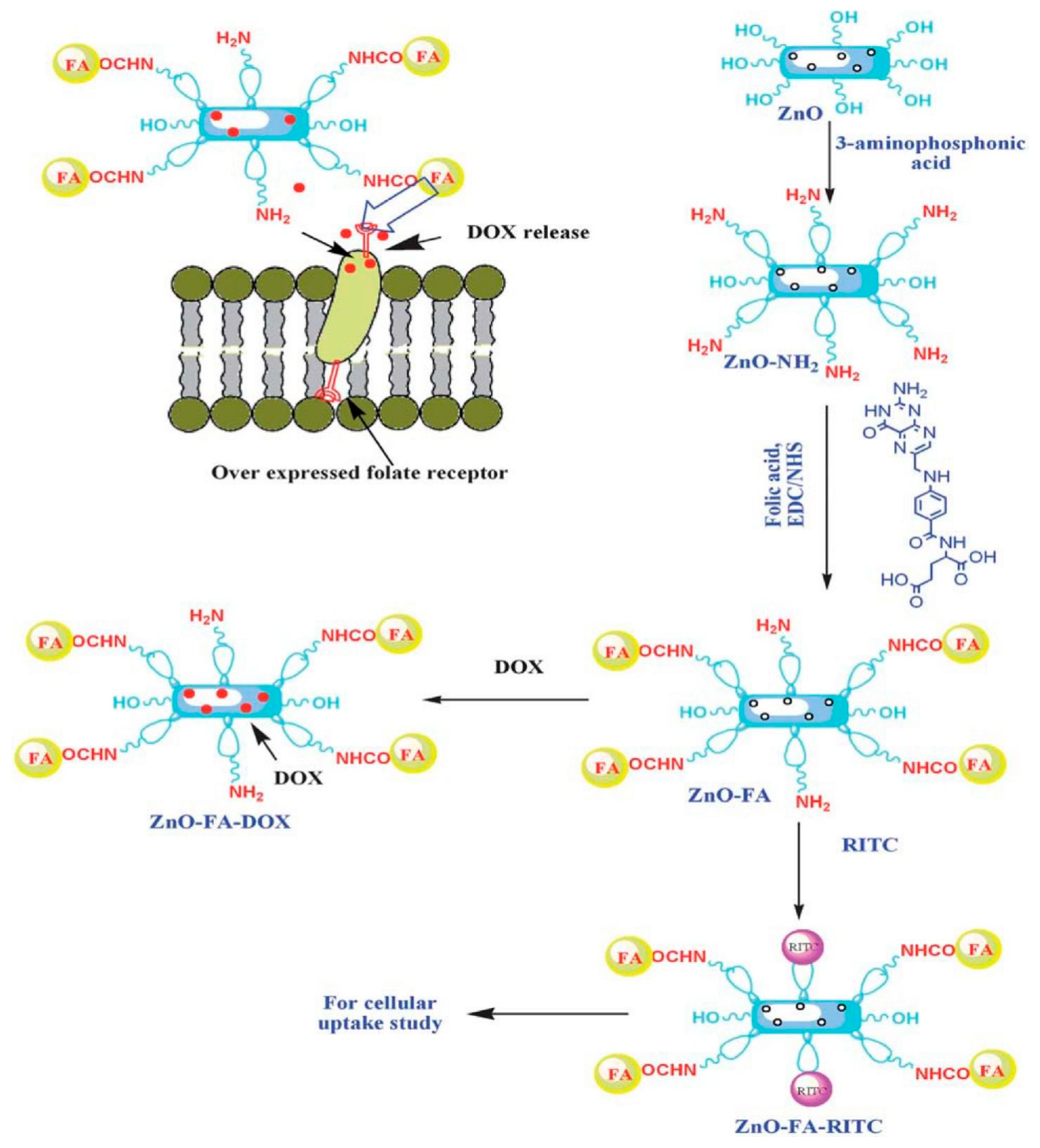 Jnt 04 00012 g005 Jnt 04 00012 g005
