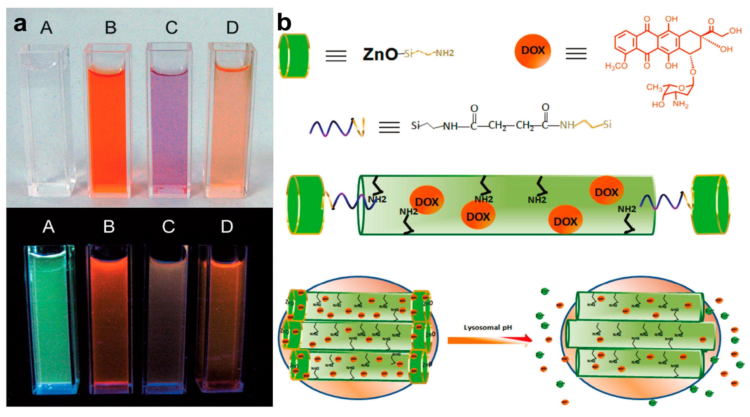 Jnt 04 00012 g006 Jnt 04 00012 g006